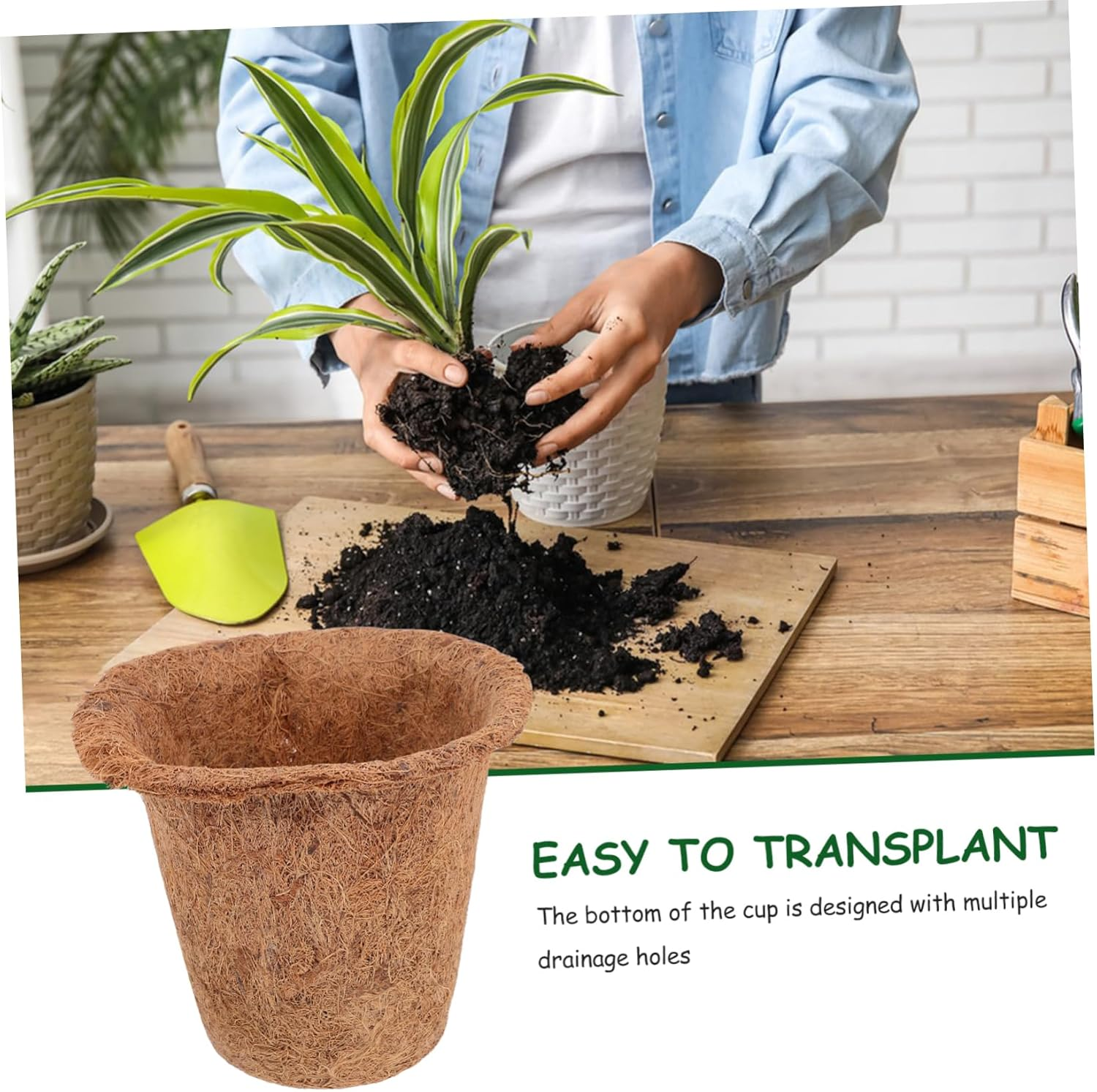 SUPVOX 4Pcs Coconut Fiber Seedling Pots Nursery Pots for Plants Plant Supplies Gardening Supplies image number 6