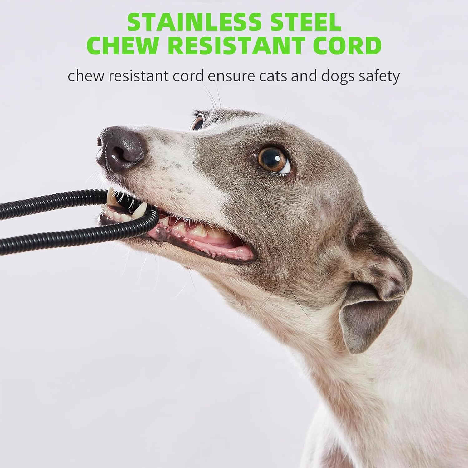 B-Qtech Pet Heating Pad, Electric Heated Pad for Dog Cat, Warm Mat Waterproof Dogs Cats Beds with Constant Temperature, Comfortable Heater Heater Blanket Puppy and Kitten (17X17 In)