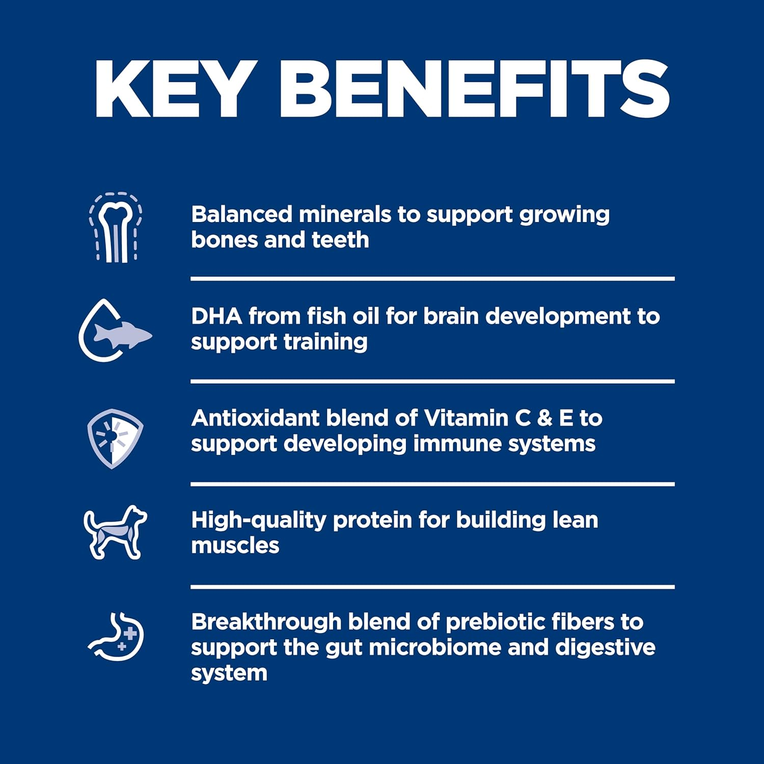 Hill'S Science Diet Puppy Small Bites, Chicken Meal & Barley Recipe, Dry Dog Food with Small Kibble, 2Kg Bag image number 6
