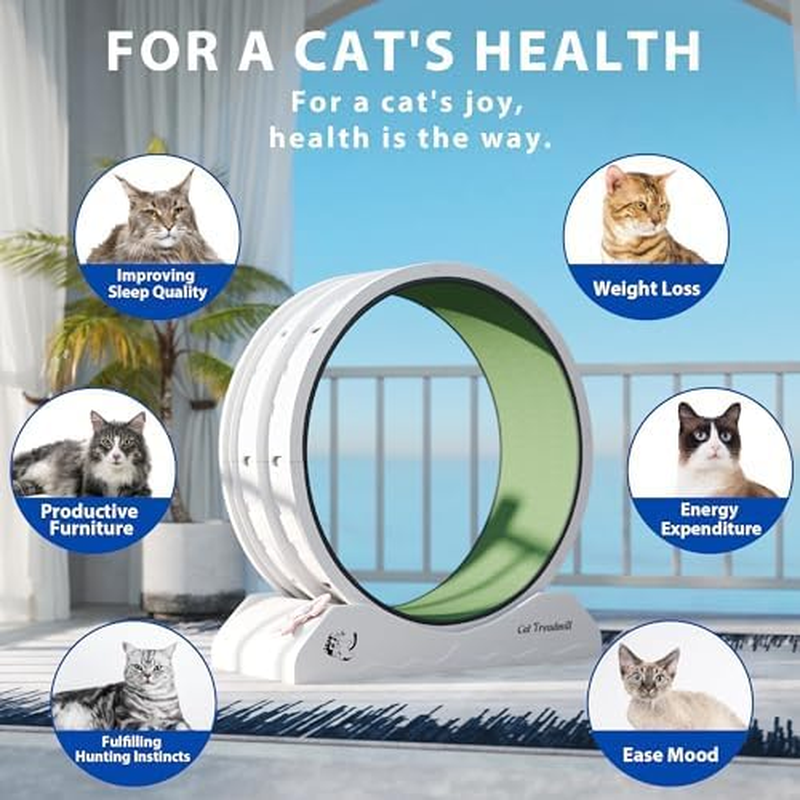 Cat Wheel Exerciser Cat Treadmill Cat Wheels for Indoor Cats Exercise Wheel Indoor Cat Running Wheels for Indoor Cats Grey image number 2