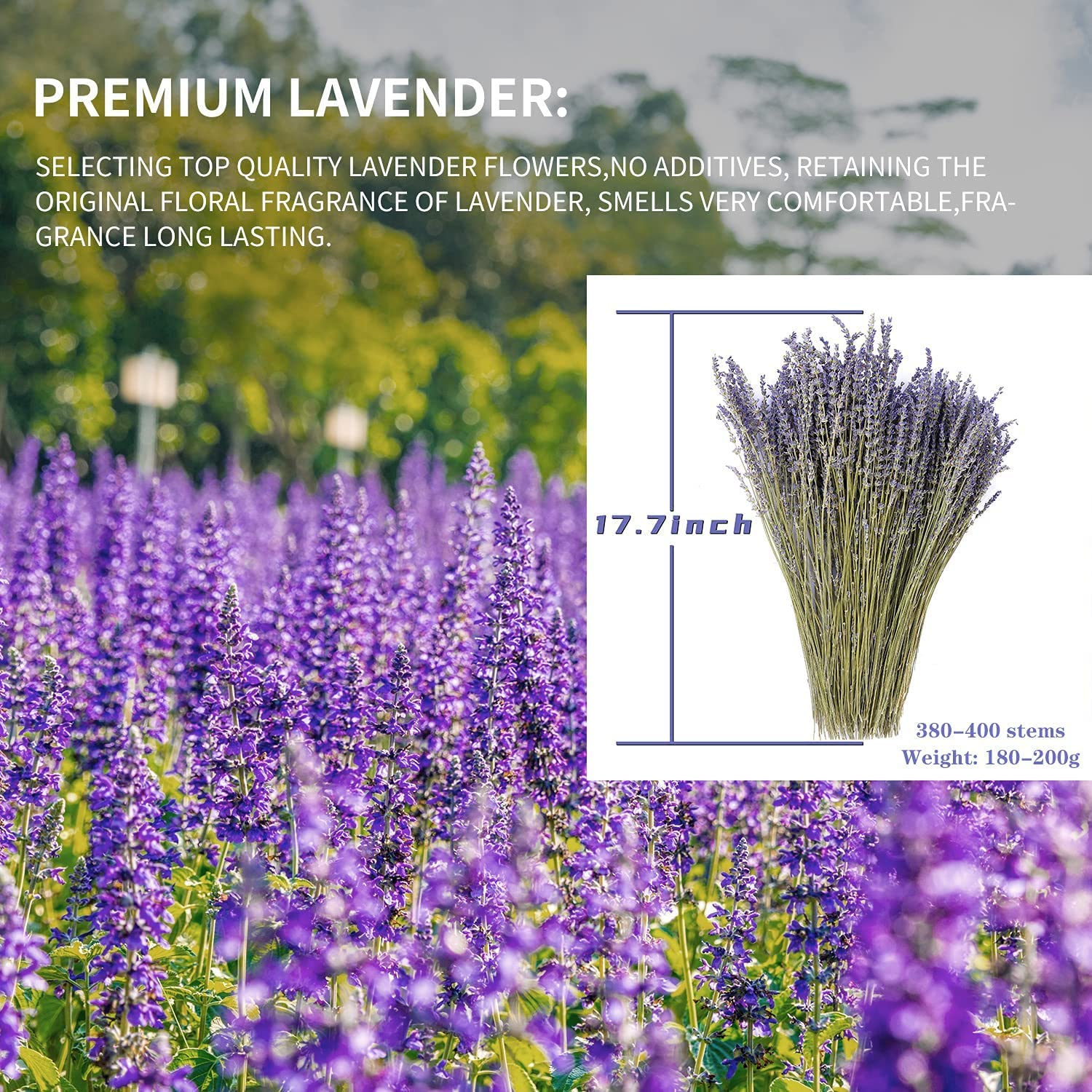 MIHUAGE Dried Lavender Flowers Bundles 100% Natural Real Dry Flower for Home Decorations,Home Fragrance 380-400 Stems image number 3