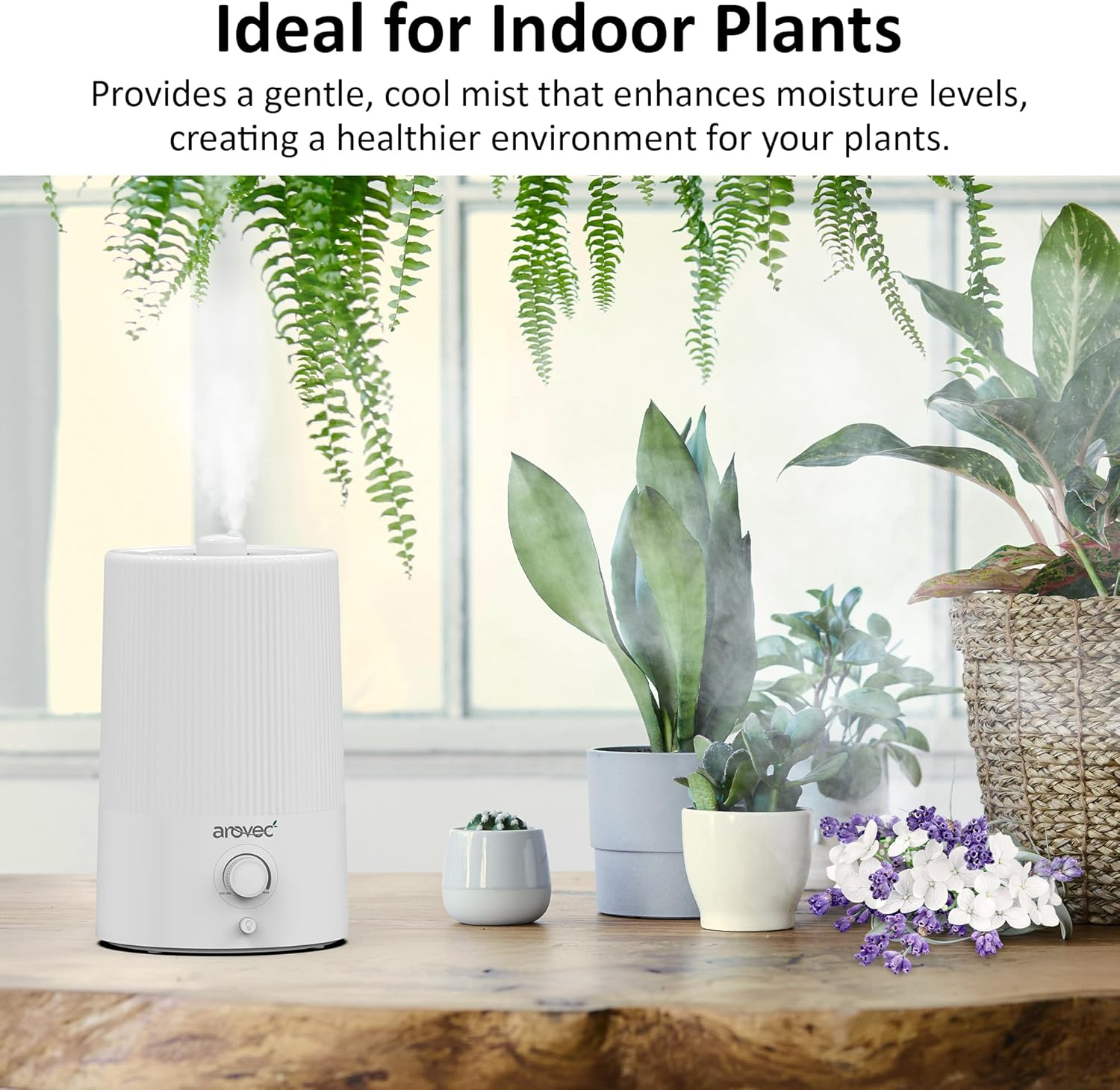 AROVEC Air Humidifier 4L Top-Fill & Essential Oil Diffuser for Bedroom, Baby Room with Night Light, Cool Mist for Home, Office & Indoor Plants, Auto-Off, 360&deg; Rotation Nozzle up to 40 ㎡ image number 5