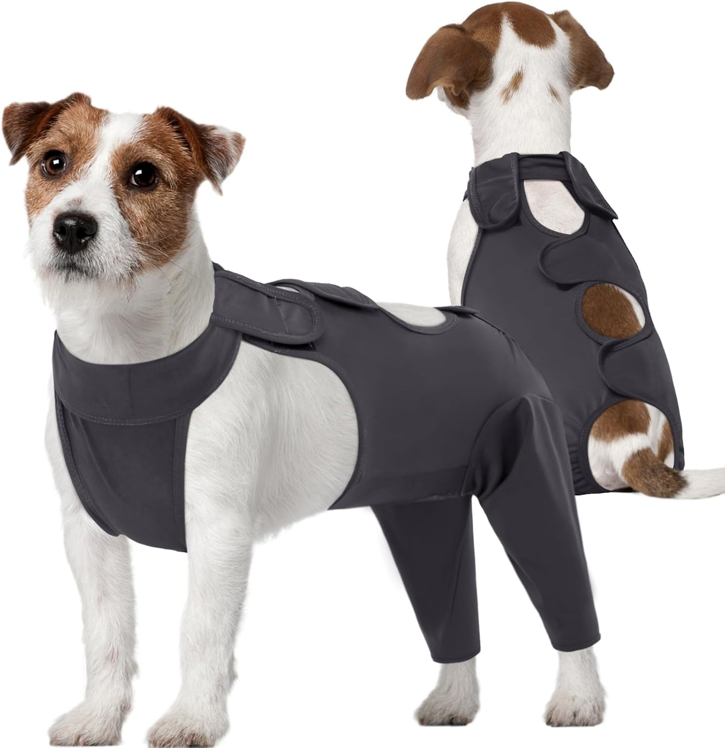 Kuoser Dog Bodysuit after Op, Recovery Suit for Castration Male , Thigh Protection Bodysuit, Anti-Wound Licking, Cervical Collar Alternative, Grey M image number 4