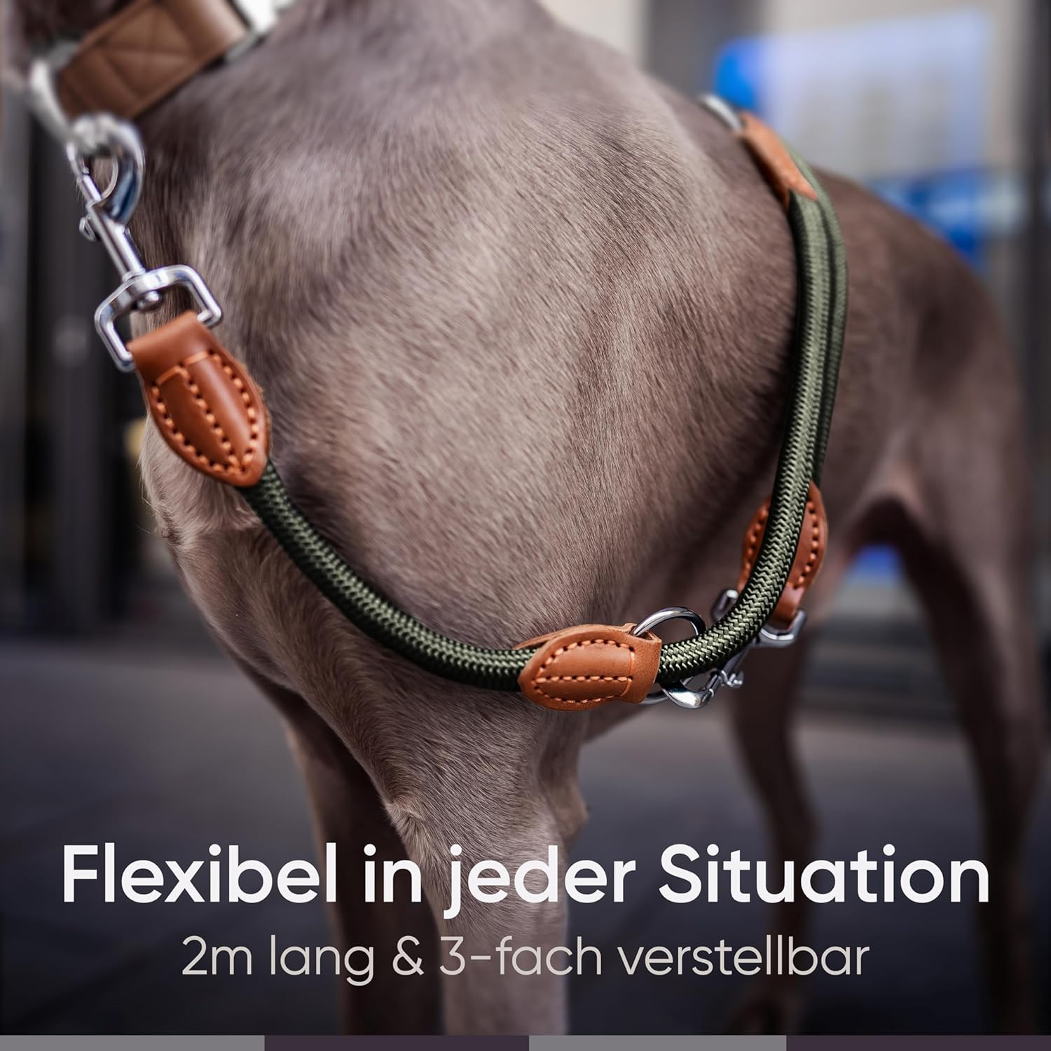FREUDENTIER Dog Lead 2 M, 3-Way Adjustable, Robust Nylon Rounded with Stylish Brown Leather Elements, for Medium and Large Dogs (Forest Green) - Green image number 3