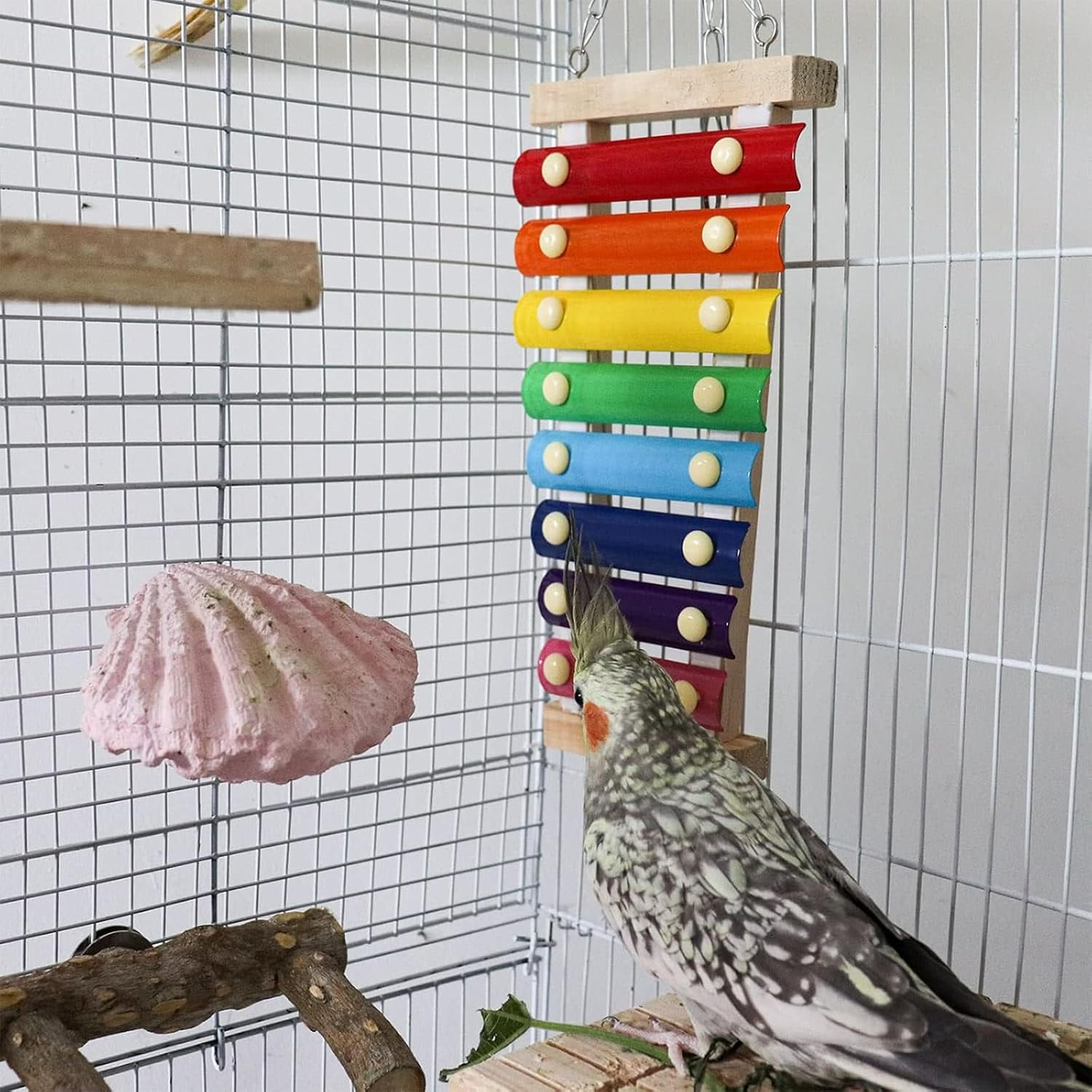 Cozioz Colorful 8-Note Bird Xylophone Toy - Hanging Musical Toy with Metal Keys for Parrots, Cockatiels, Budgies & Small Birds | Fun Cage Accessory to Stimulate Play & Mental Enrichment image number 4