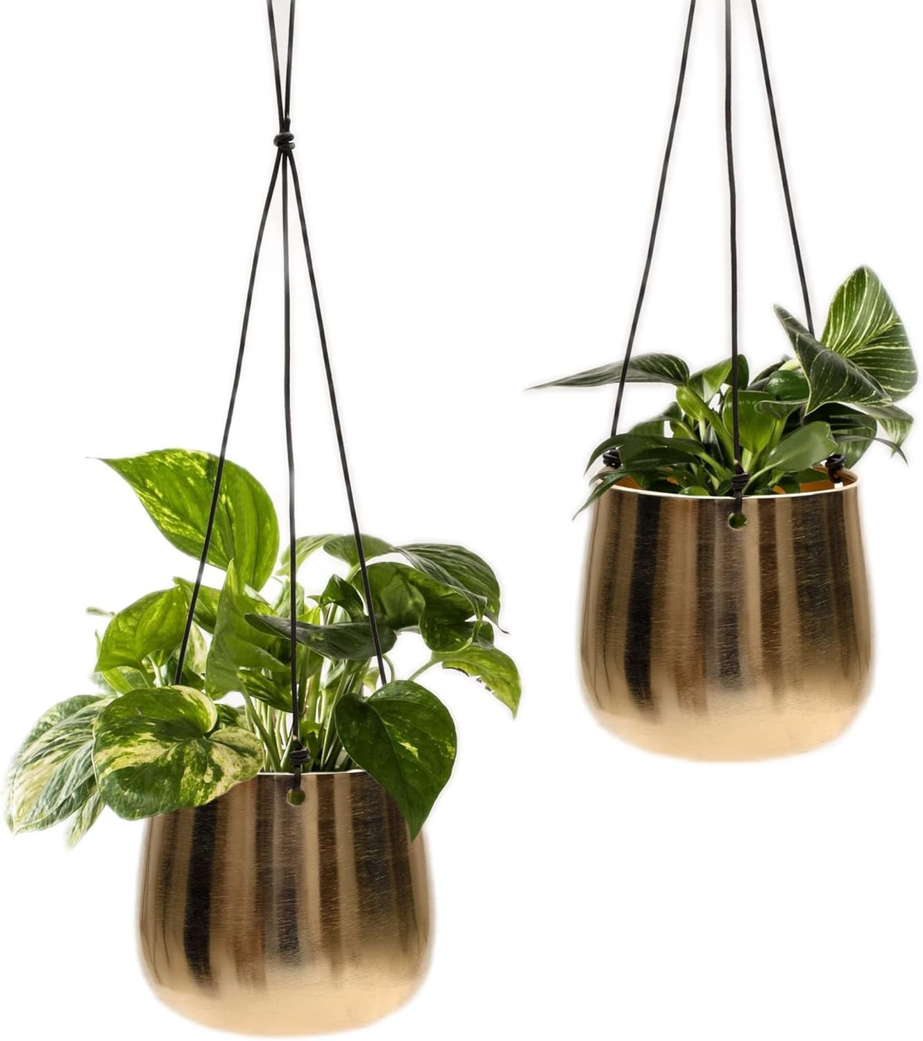 Olly & Rose Gold Hanging Plant Pots Set 2 (Large)