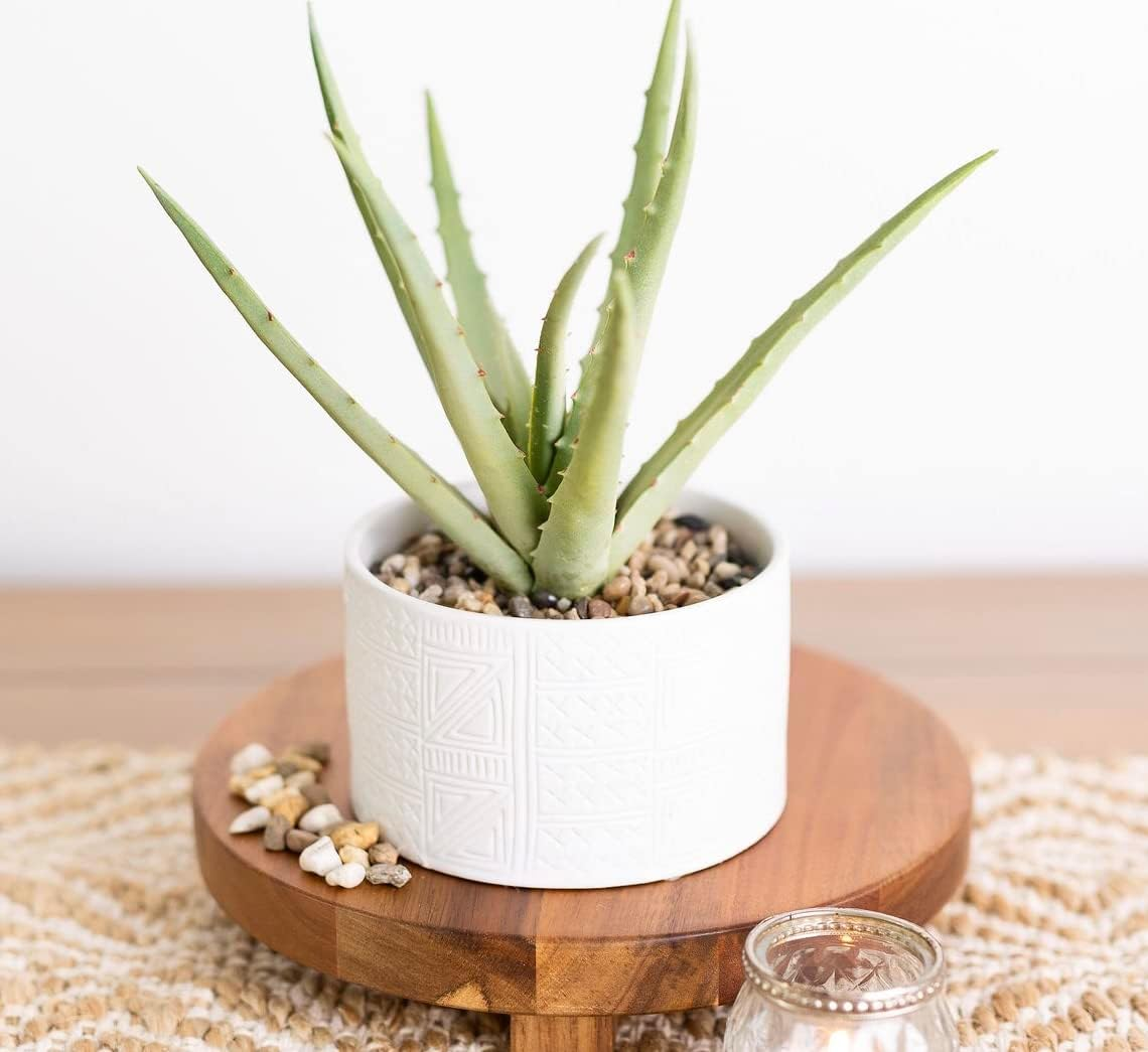 Artificial Plant in White Ceramic Pot | 10" High Faux Agave Plant in White Pot | Fake Plant for Desk Decor | Artificial Agave for Home Decor Indoor | Artificial Succulent for Shelf Decor