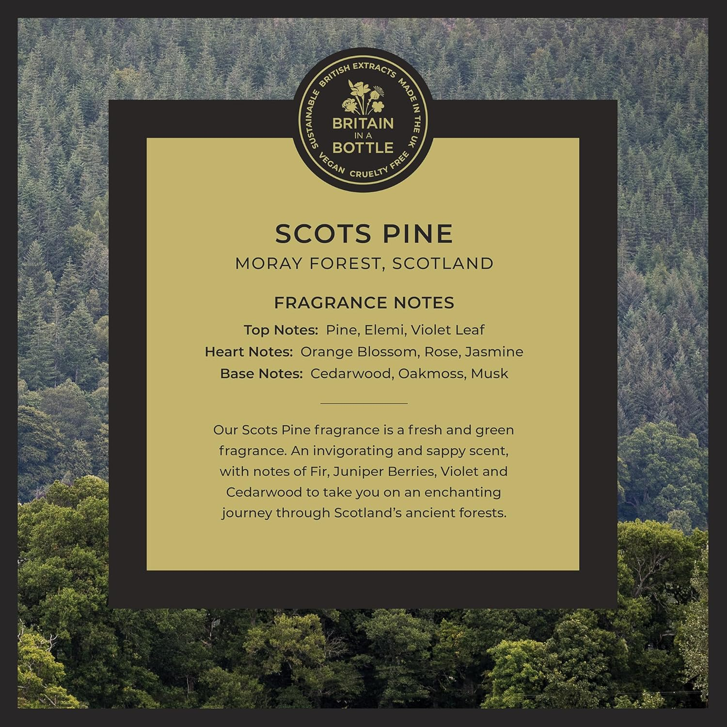 Noble Isle Scots Pine Body Lotion 250Ml/8.45Oz image number 4