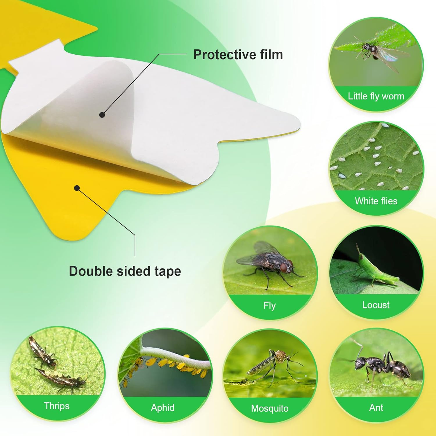 36 Pcs Combo Sticky Traps for Fungus Gnat (Plants), Flying Insect, Whitefly and Fly, Yellow Sticky Insect Catcher Traps for Indoor/Outdoor, Kitchen, and Plants, High-End Glue, Non-Toxic, 5 Shapes image number 2
