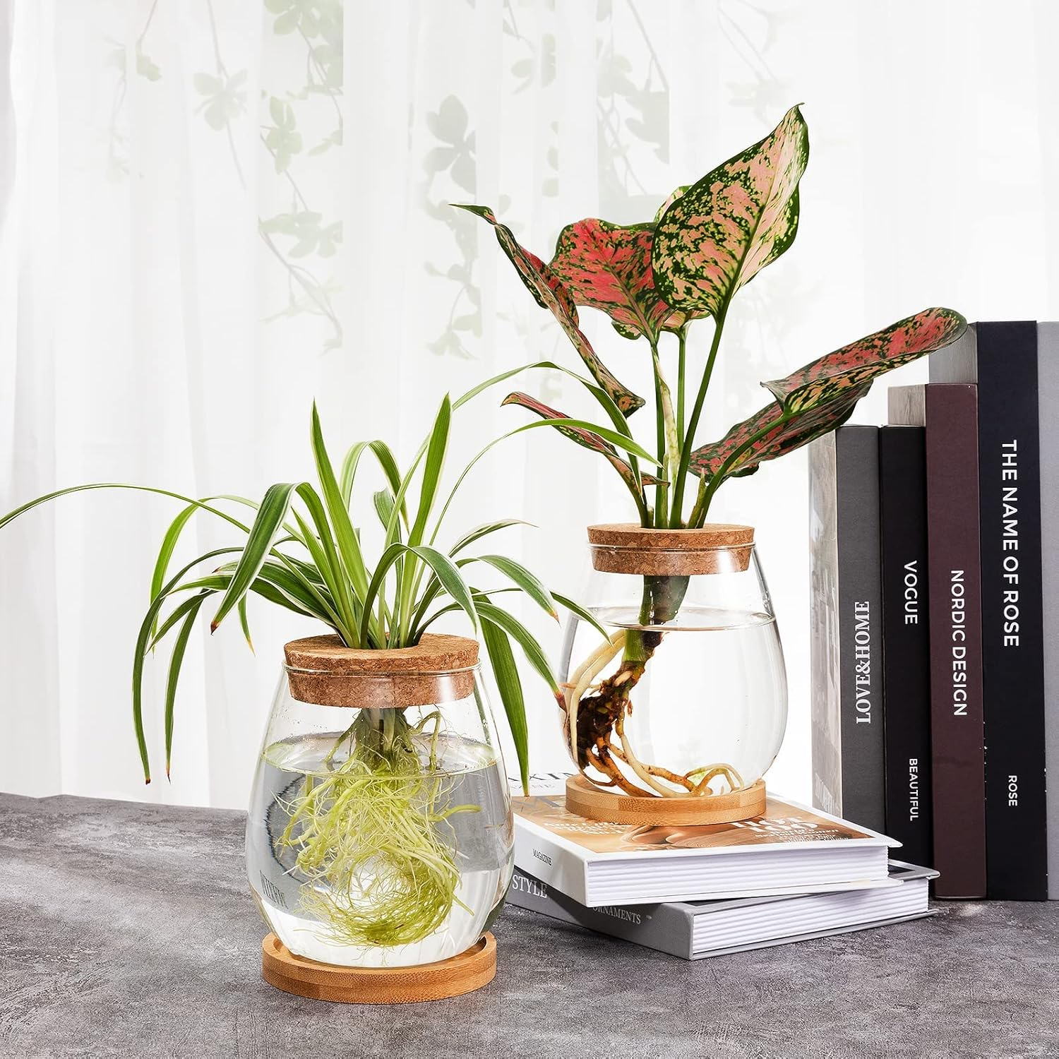 2 Pcs Separated Desktop Plant Terrarium - Plant Propagation Planter Water Station Planting Glass Vase with Lid & Wooden Stand for Growing Hydroponic Home Office Table Decoration image number 2