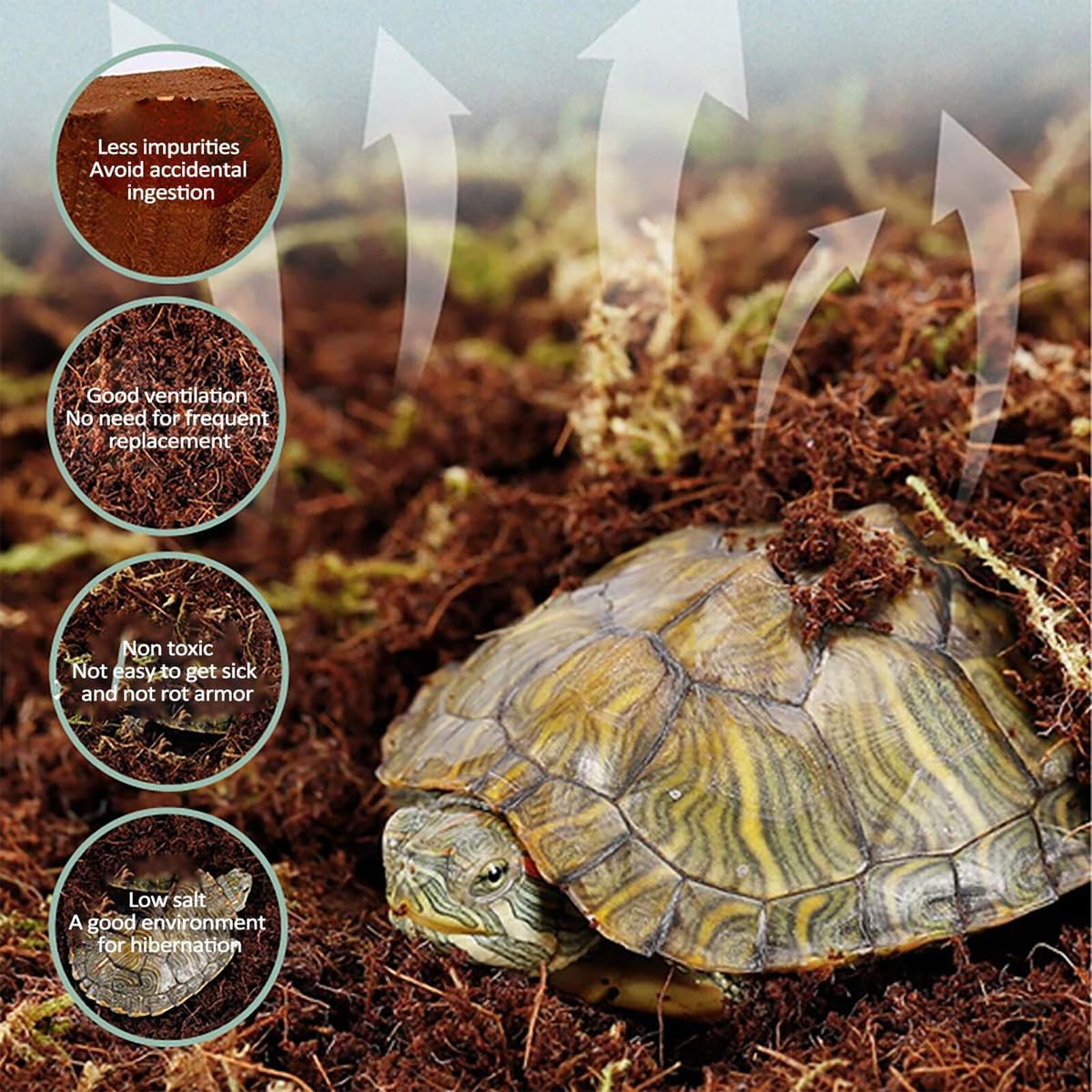 AIMALL 1-Piece Natural Coconut Fiber Soil Substrate Brick for Reptiles, Expandable and Safe Terrarium Bedding for Amphibians, Snakes, and Spiders image number 3