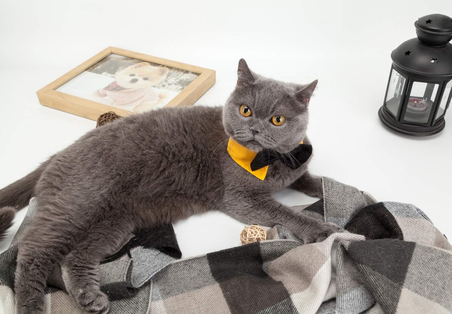 ZTON Handcrafted Adjustable Formal Pet Bowtie Collar Neck Tie for Dogs & Cats (S, Black 1) image number 4