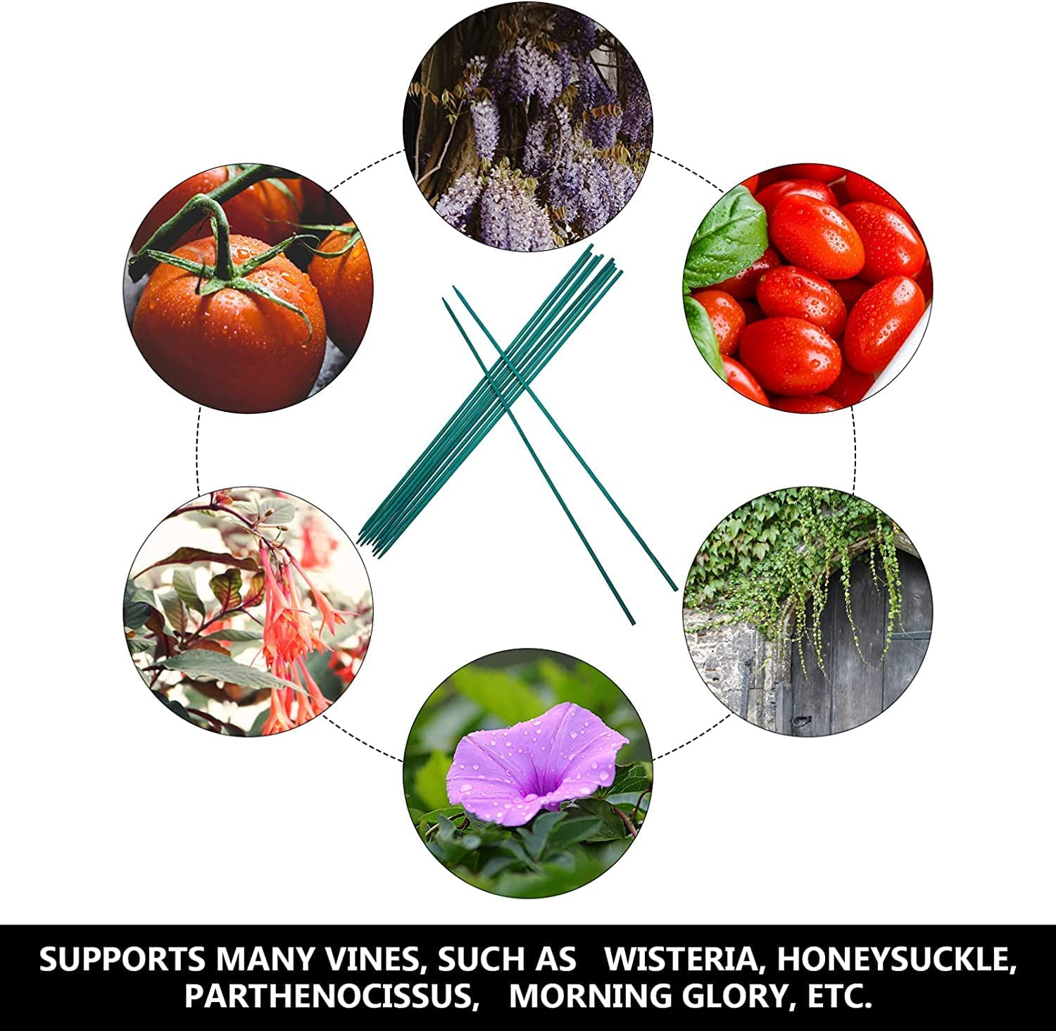 THJOPOKEEL 100Pcs Garden Wood Plant Stakes, Green Bamboo Sticks, 15.7In Long, 40Cm, Straight Wood, Easy to Insert, Smooth Surface, Thicker and Stronger image number 5