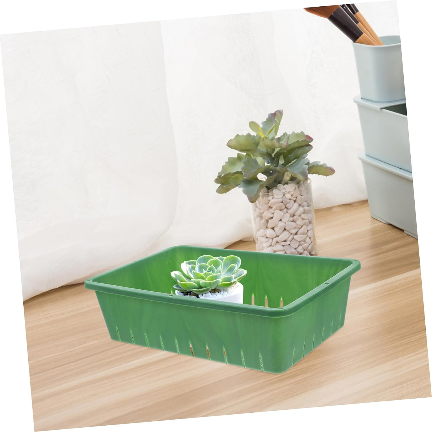 Milisten Propagation Tray Seedling Starter Tray for Gardening 2Pcs 26X18X7Cm in Green Suitable for Sprouts Indoor Plant Growing image number 6