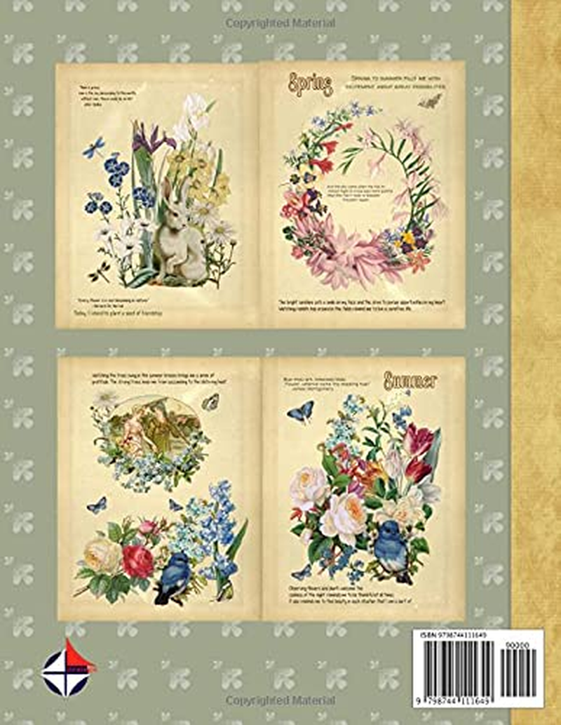 Decoupage Scrapbooking Collectible Country Diary Vol 2 Papercraft Ephemera to Cut and Collage: Country Diary Garden and Birds Junk Journal Signature Pages image number 1