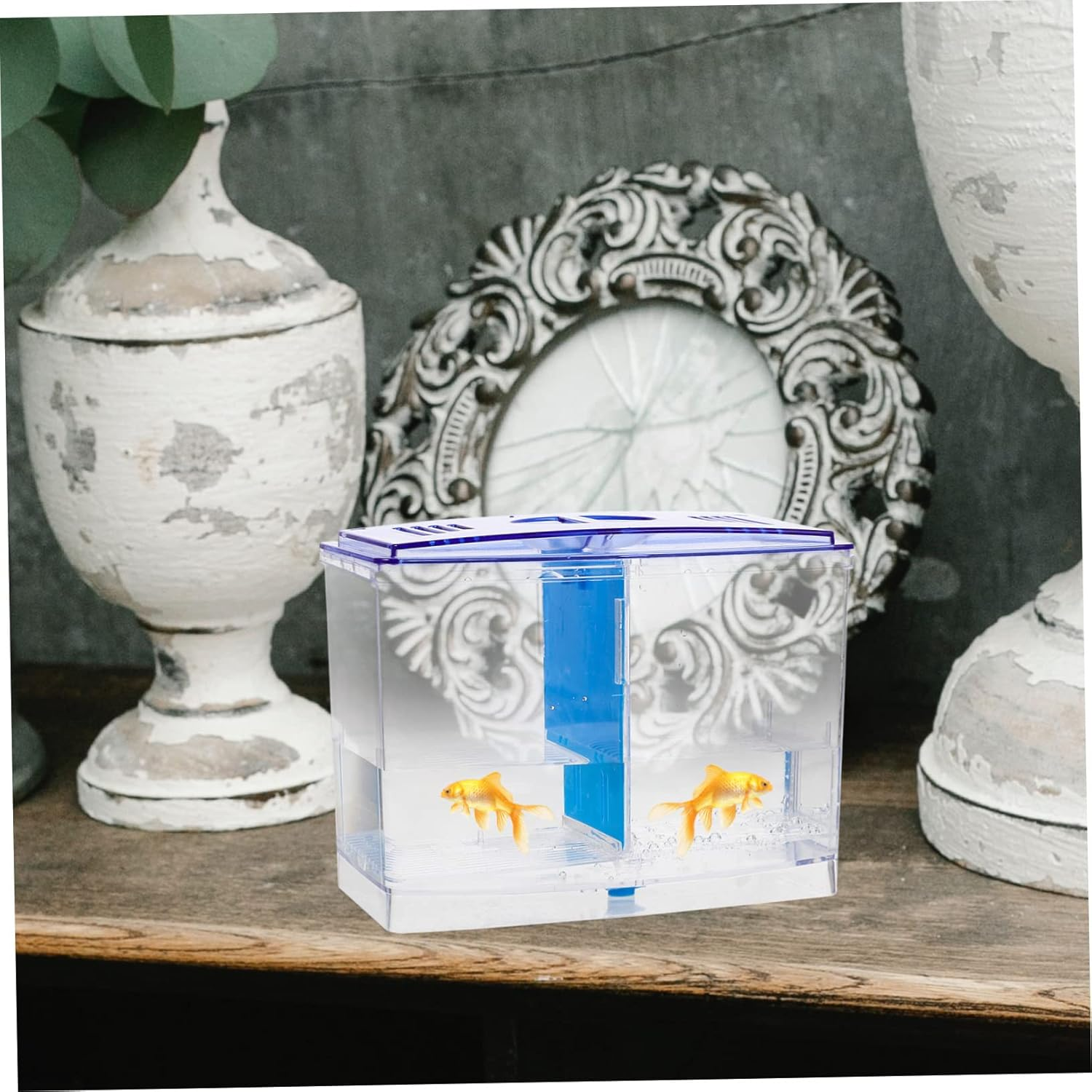 GRIRIW Aquarium Box for Betta Fish Removable Divider for Easy Separation Acrylic Breeding Box for Aquatic Pets Transparent Design for Viewing for Hatching and Nursing Fry