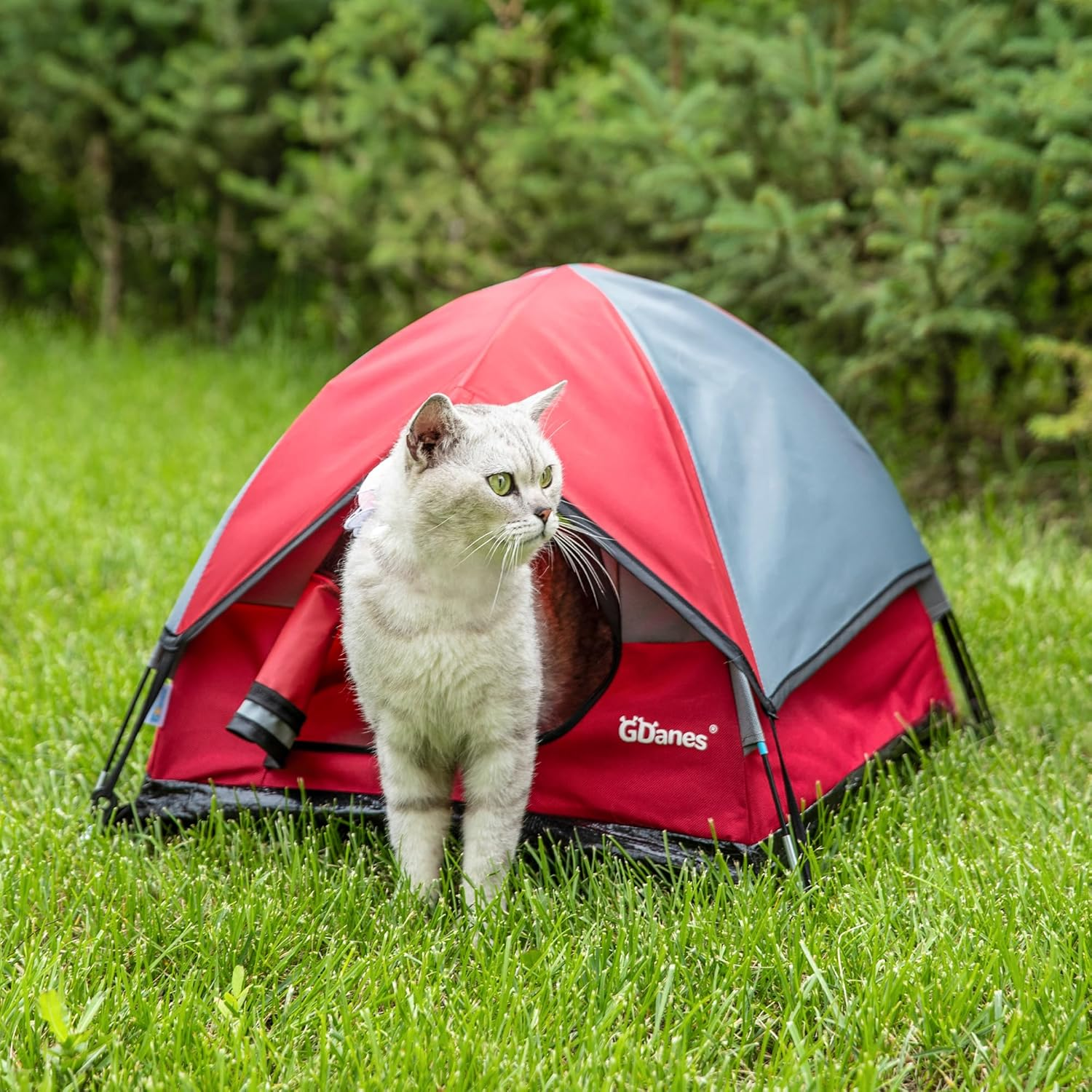 Gdanes Cat House Portable Indoor/Outdoor Red Cat Tent for Cats and Small Dogs with Soft Pad image number 1