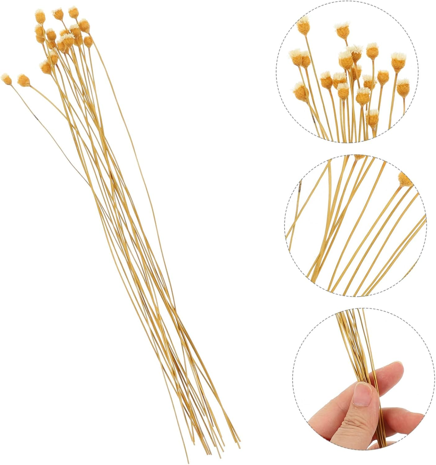 COHEALI 60Pcs Flower Reed Diffuser Stick Scented Sticks for Spa Aroma Diffusers Essential Oil Fragrance image number 4