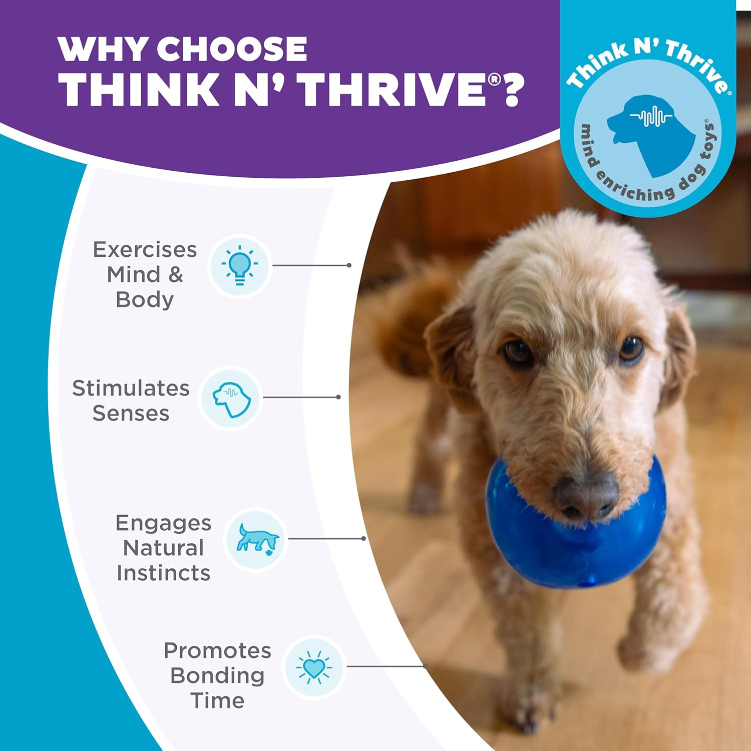 Charming Pet Scruffless Bunny Squeaky Plush Dog Toy, Small - Soft Cuddly Animal - Tough and Durable Squeaky Tug Toy