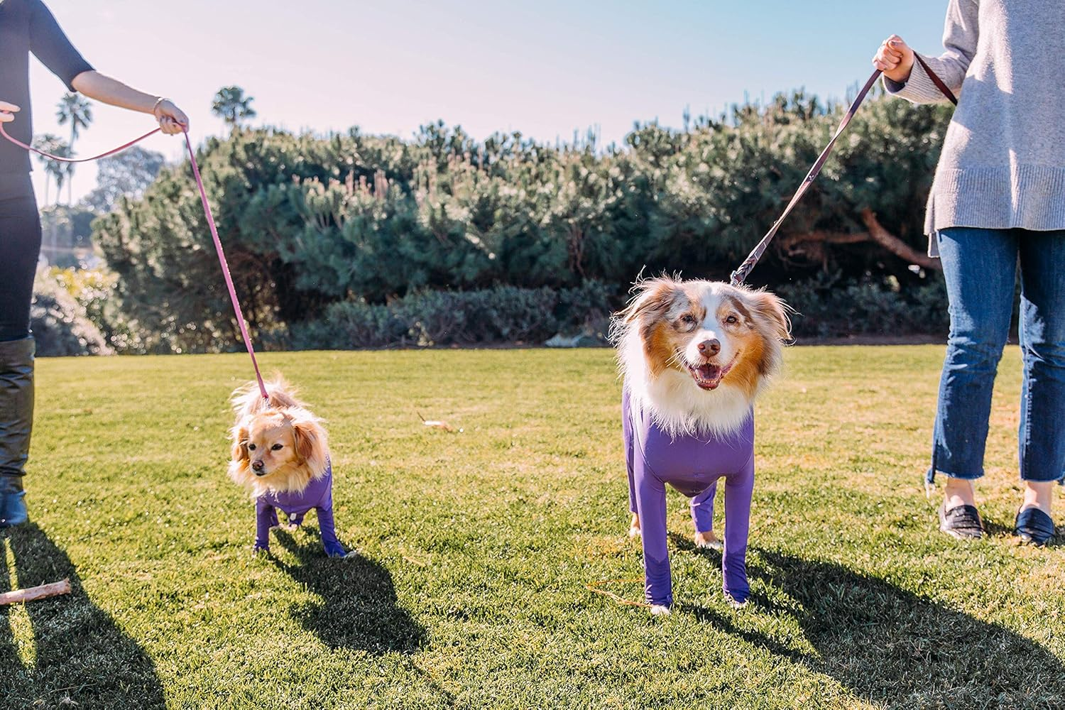 Shed Defender - Dog Onesie/Grooming -Contains the Shedding of Dog Hair, Reduce Anxiety, Replace Medical Cone