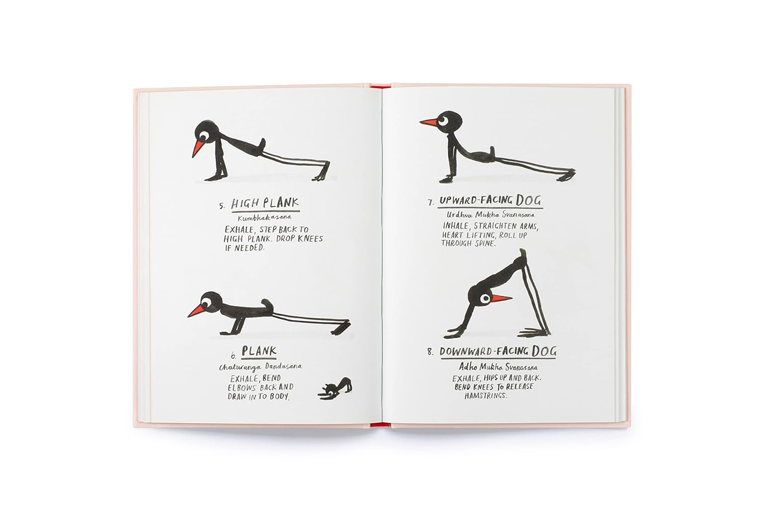 Yoga for Stiff Birds: an Illustrated Approach to Positions, Poses, and Meditations
