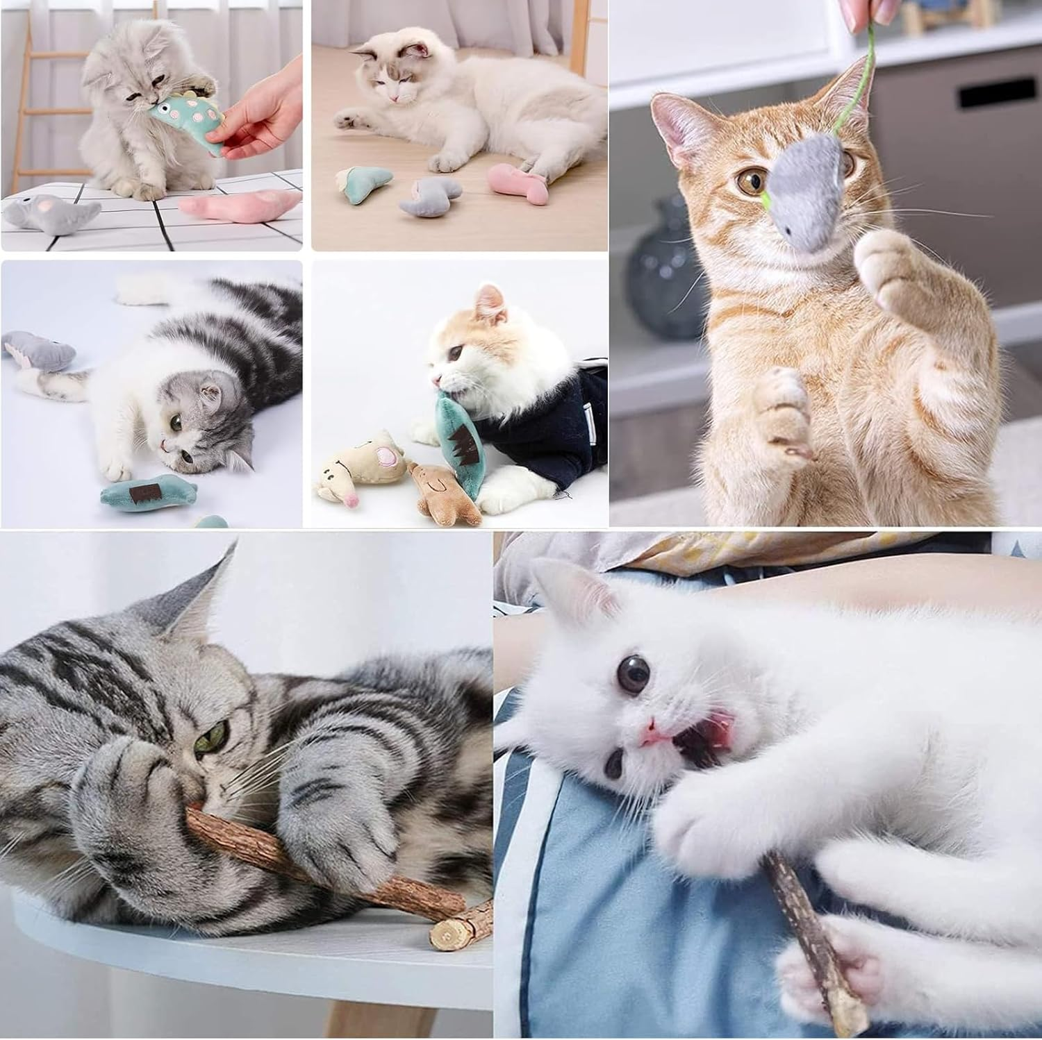 TECKI Catnip Toy Set - 16 X Cat Toys + 20 X Matatabi Chew Sticks, Cat Toy Intelligence, Cat Dental Care & against Bad Breath Odor, Essential Accessories for Cat Lovers