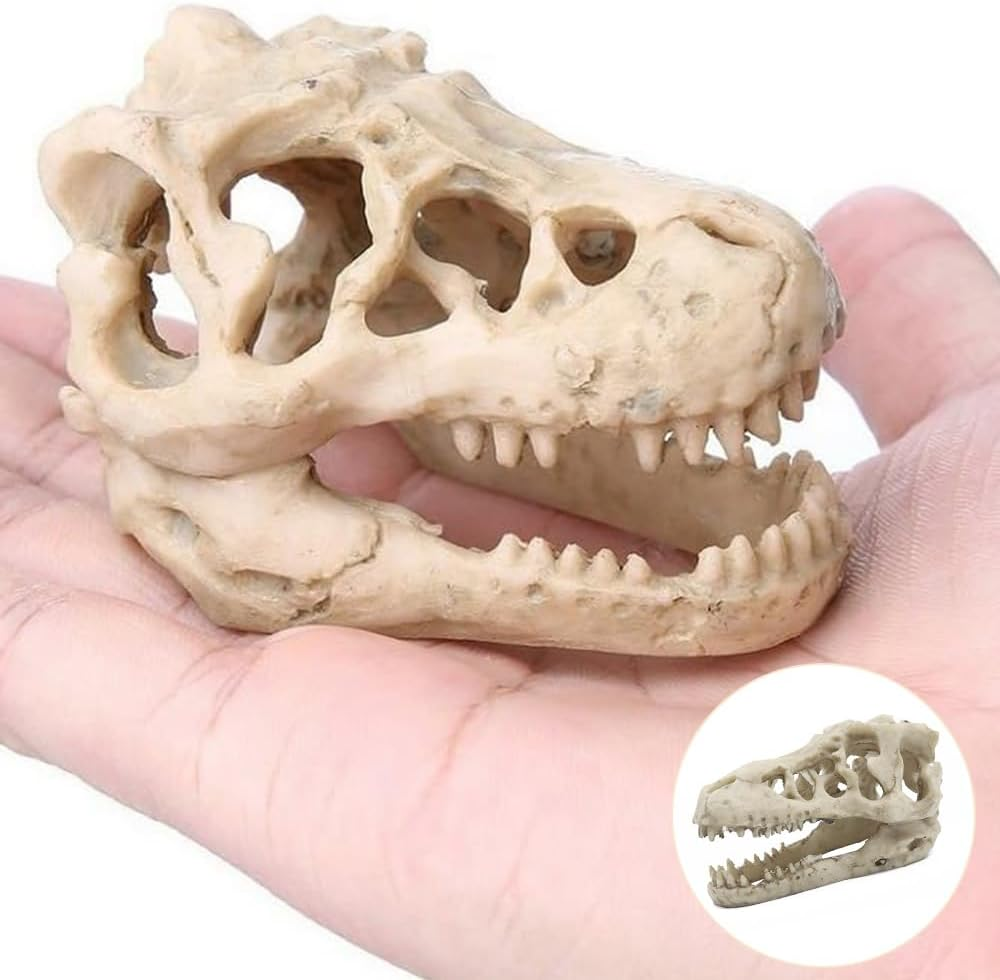 NUZAMAS Dinosaur Skull Skeleton Ornament Resin Artificial Dinosaur Skull Shape Fish Tank Ornament Cave Decoration Hiding Climbing Shelter for Fish Tortoise image number 5