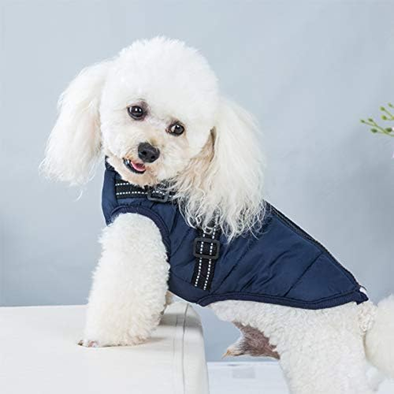 Small Dog Jacket with Harness, Outdoor Dog Sport Vest, Outdoor Warm Pet Winter Coat Harness for Cats Puppy Small Dogs (Blue, 4XL) image number 3