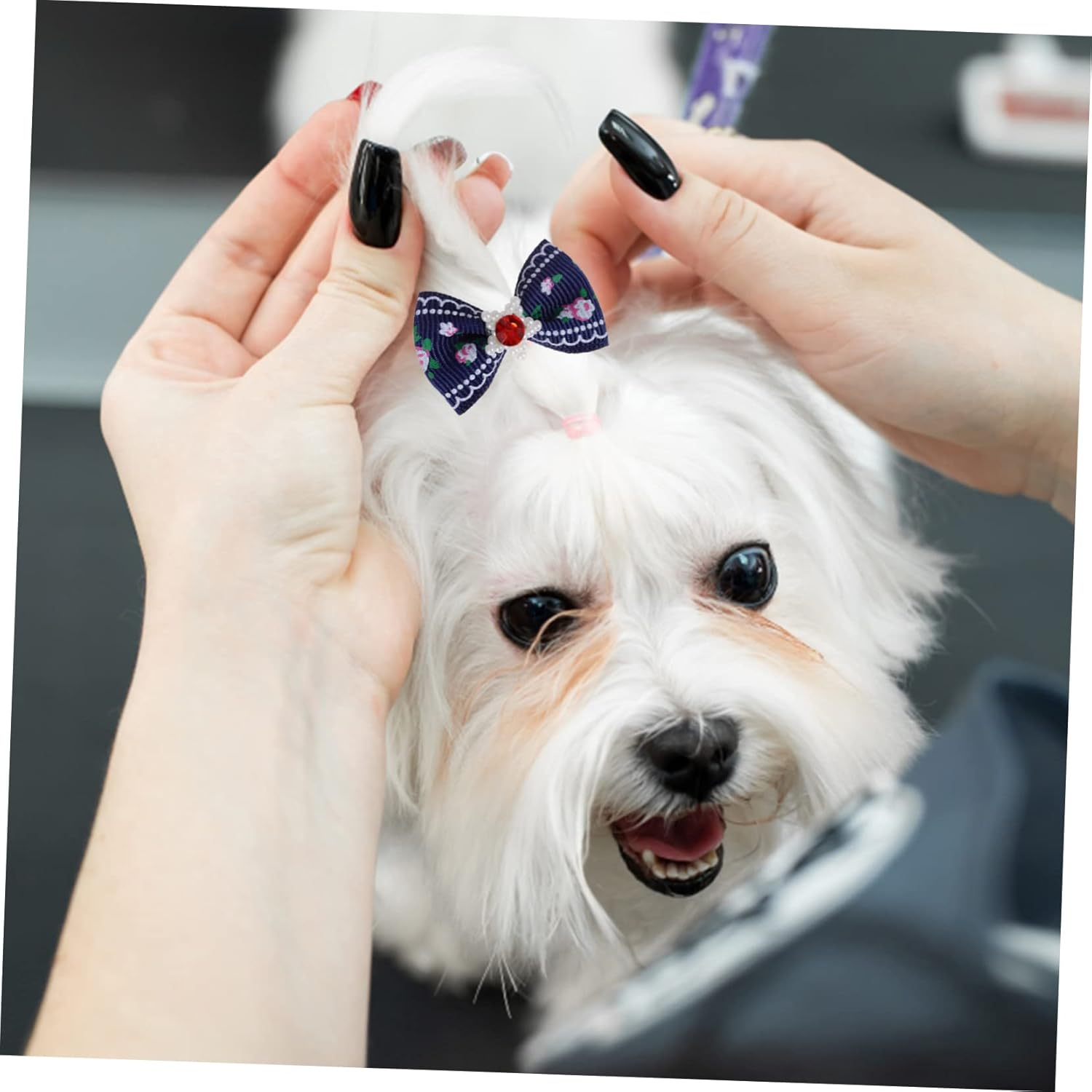 Kisangel 50Pcs Multicolor Dog Bows with Rubber Bands for Dogs and Cats Comfortable Elastic Hair Accessories for Pet Grooming and Decoration image number 2