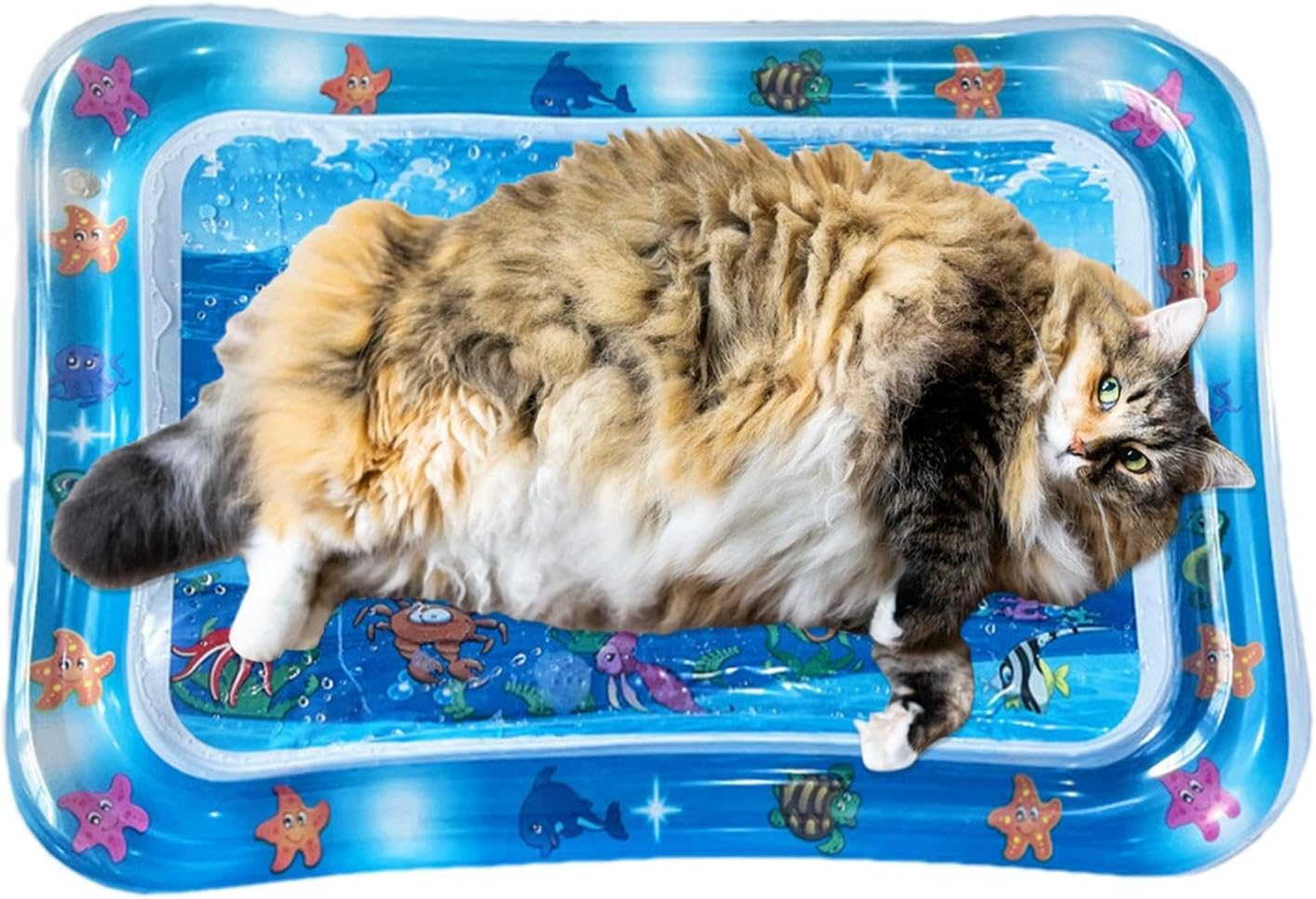 Water Mat for Cats, Water Sensory Playmat with Fish for Pet, Inflatable Water Mat for Cat and Dog, Water Sensory Pad Water Feel Cool Comfort image number 6