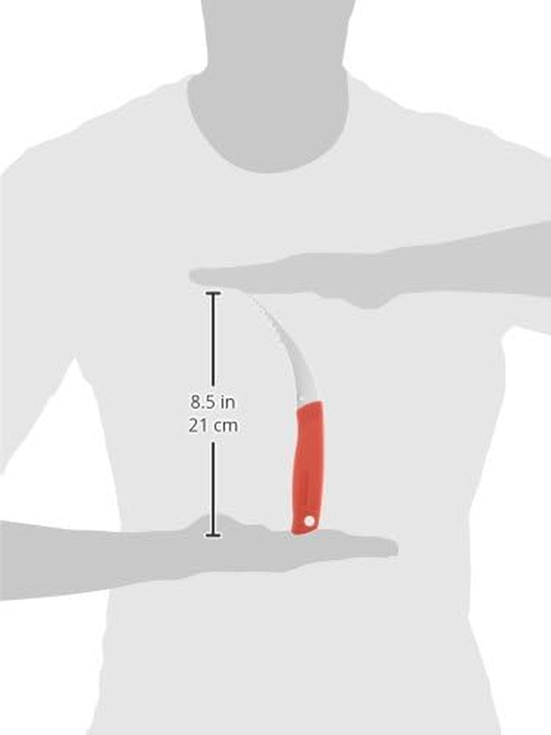 Shimizu Mont Blanc Weeding Ichiban 8.5 Inches (215 Mm) image number 1