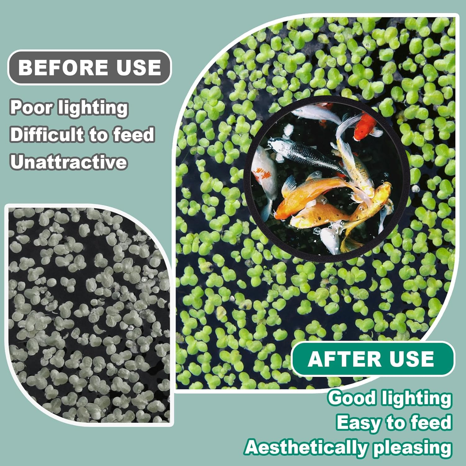 Isslly 10PCS Fish Feeding Rings, 5 Sizes Oval Aquarium Floating Plant Barriers, Foam Fish Feeder Rings, Fish Tank Aquarium Accessories for Fish, Floating Plant - Black image number 3