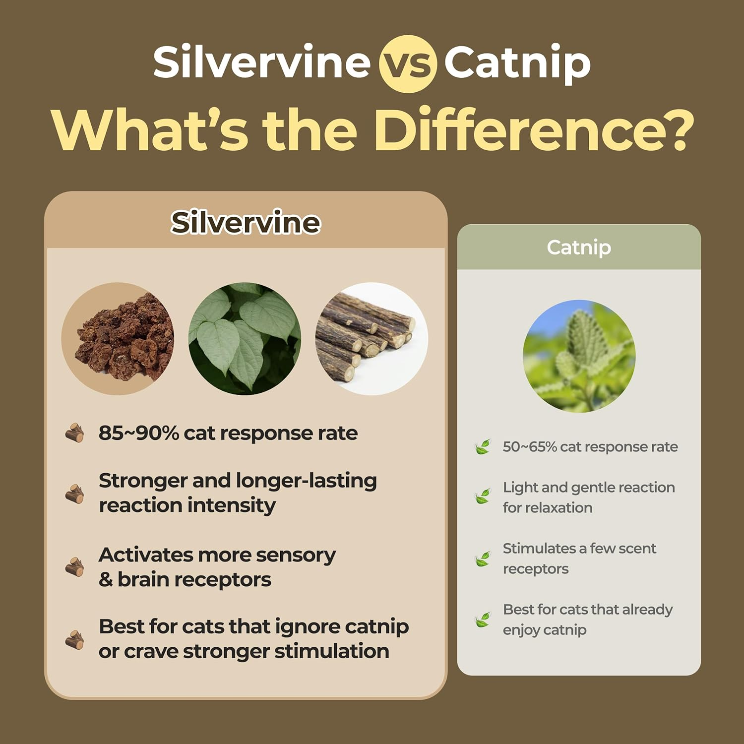 JAYU PET Active MATA Spray &ndash; 100% Natural Silvervine for Cats, Liquid Catnip Alternative, Calming Spray for Indoor Kittens, Boosts Play & Engagement, Reduces Stress on Toys, Scratchers (30Ml) image number 3