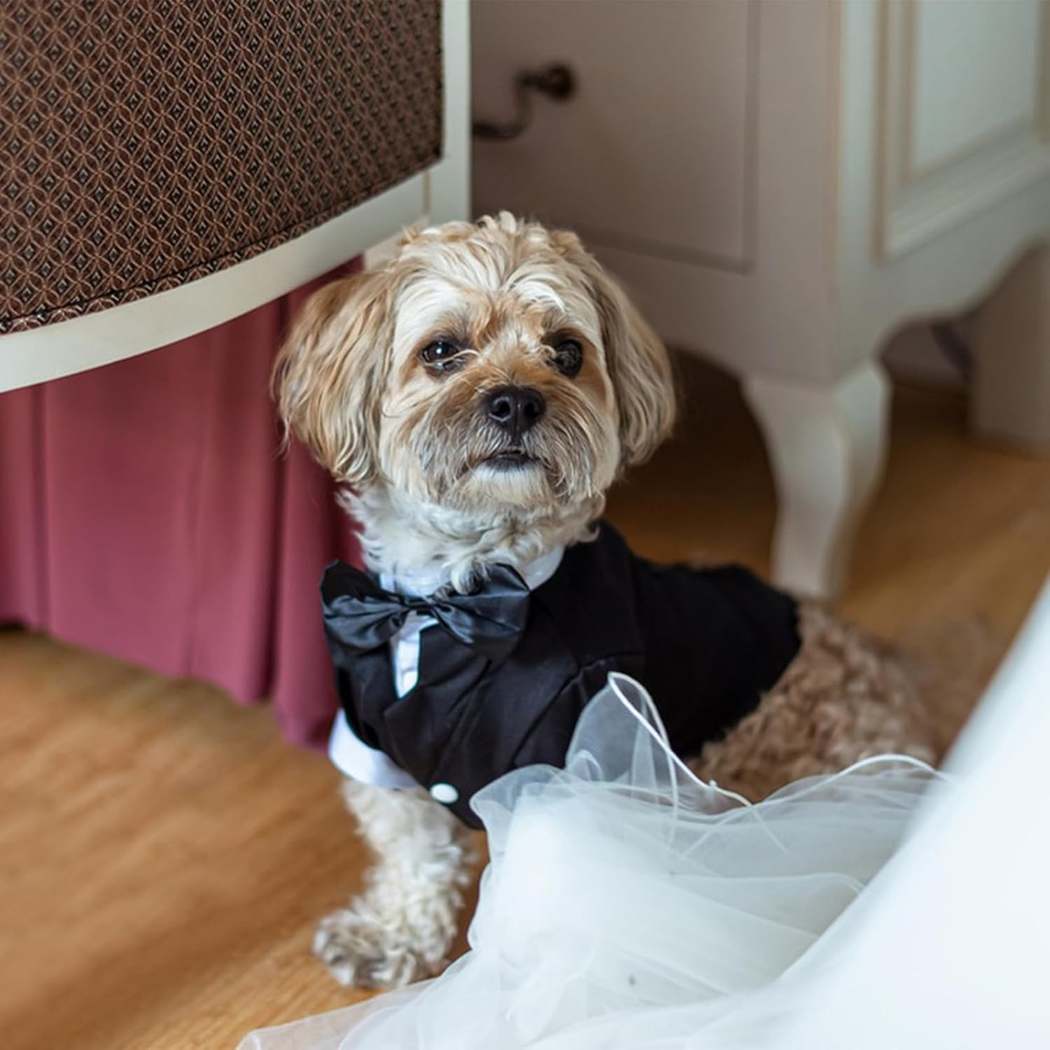 Dog Formal Outfit Wedding Tux with Bowtie Dog Tuxedo Dog Suit Set Breathable and Soft Dog Shirt Suitable for Small Medium Large Dog Pets Black (L) image number 4