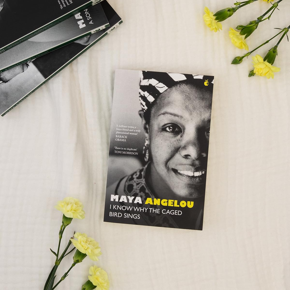 I Know Why the Caged Bird Sings: the Internationally Bestselling Classic image number 1