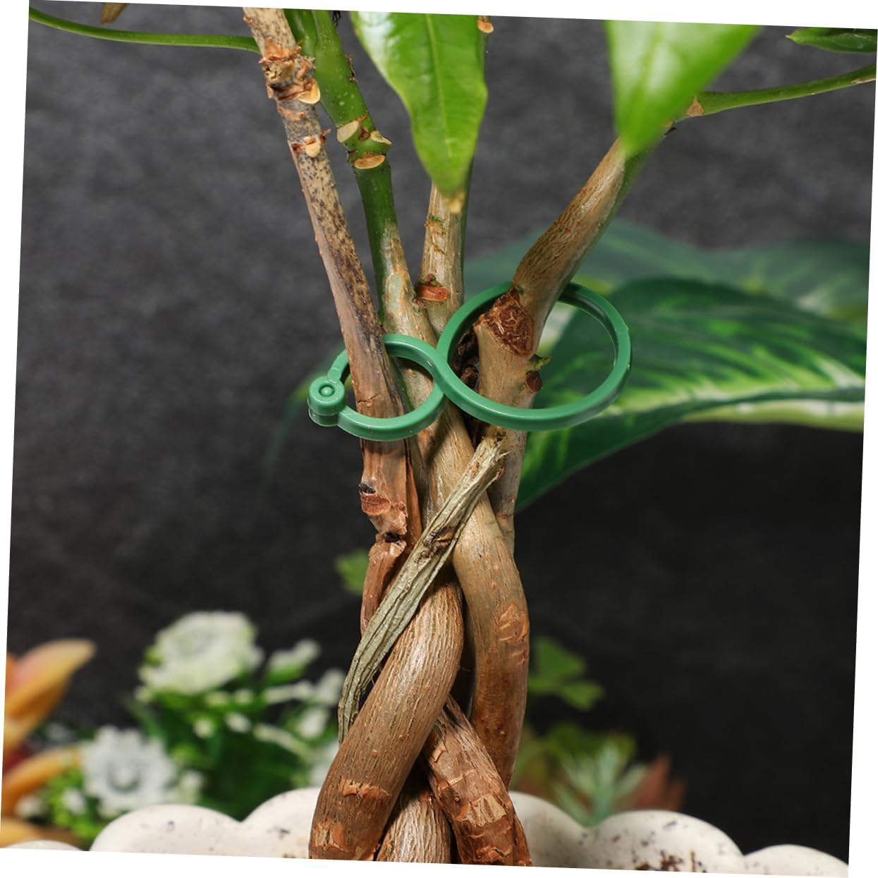 IWOWHERO 100Pcs Tomato Trellis Clips Lightweight Plant Support Clips Secured for Gardening Plant Climbing Wall Fixtures Green image number 4