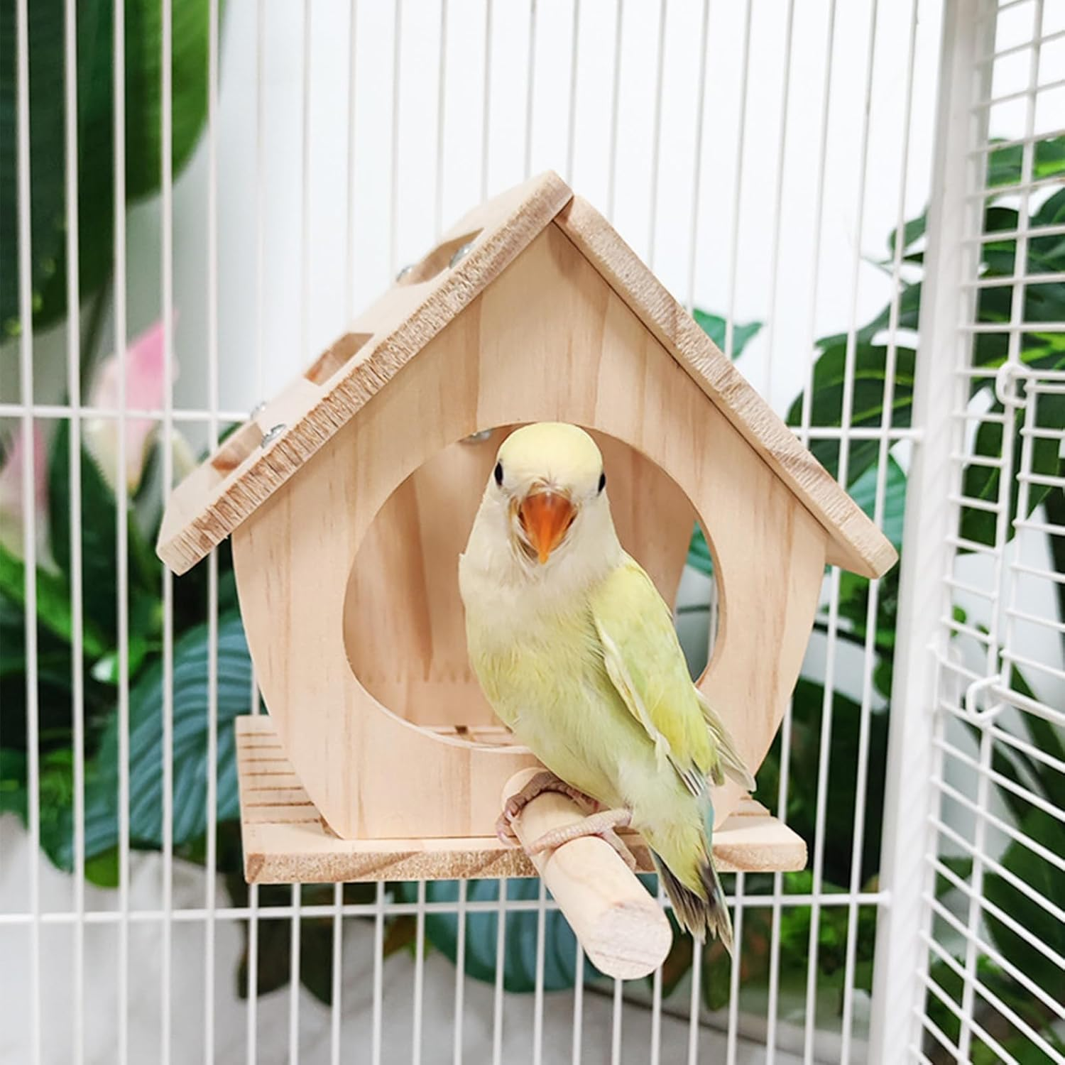Perches for Birds, Parrot Wooden Platform, Swings with Swing Bell image number 4