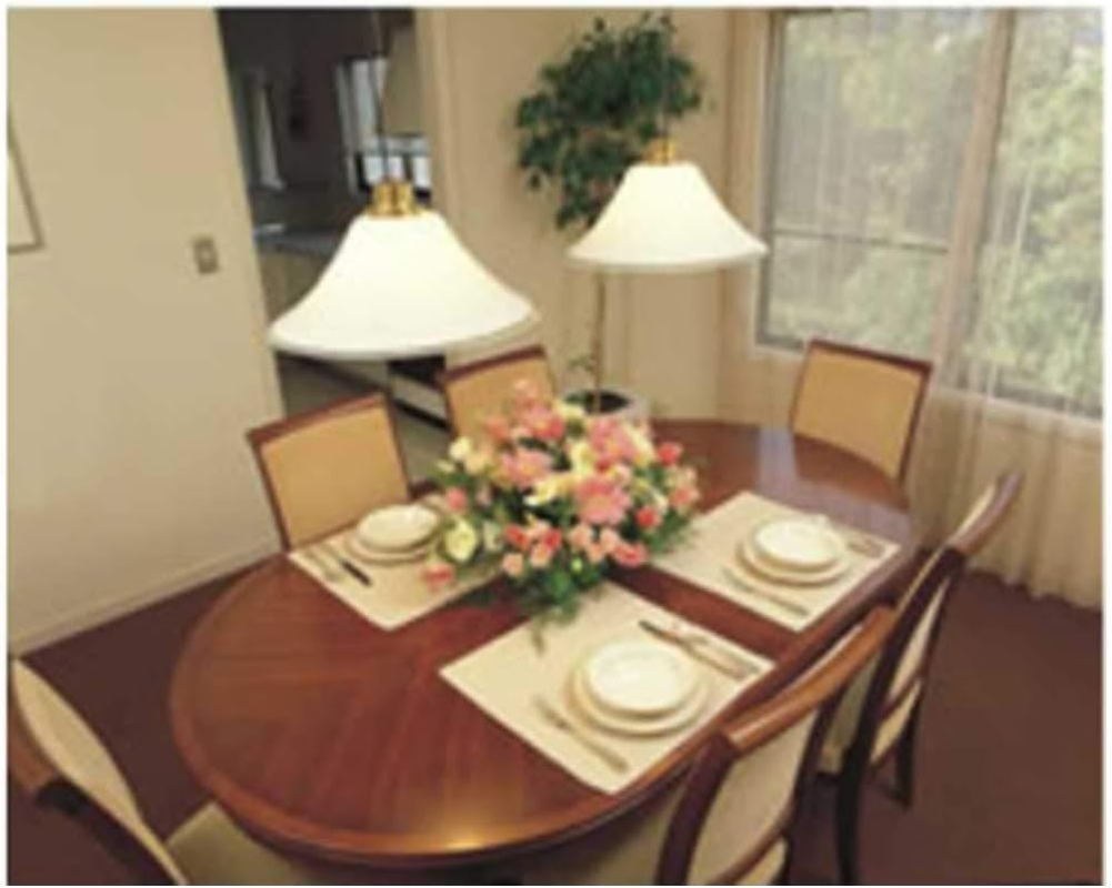 Yamato Plastic Flora Base 240K &Phi;285 X 165 X 55 Mm Green Capacity: 1L image number 5