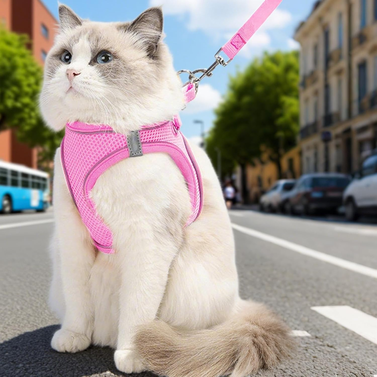 Escape Proof Cat Harness | Soft Reflective Mesh Vest Harness and Lead - Puppy Collar Pet Supplies for Small Medium Large Animals Travel Backpack Outdoor Hiking image number 5