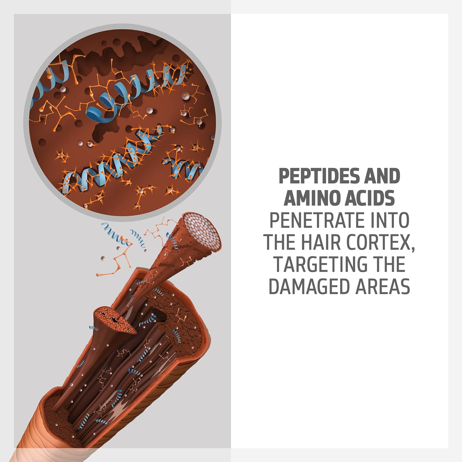 Goldwell Dualsenses Bond Pro Fortifying Conditioner for Unisex 10.1 Oz Conditioner image number 2