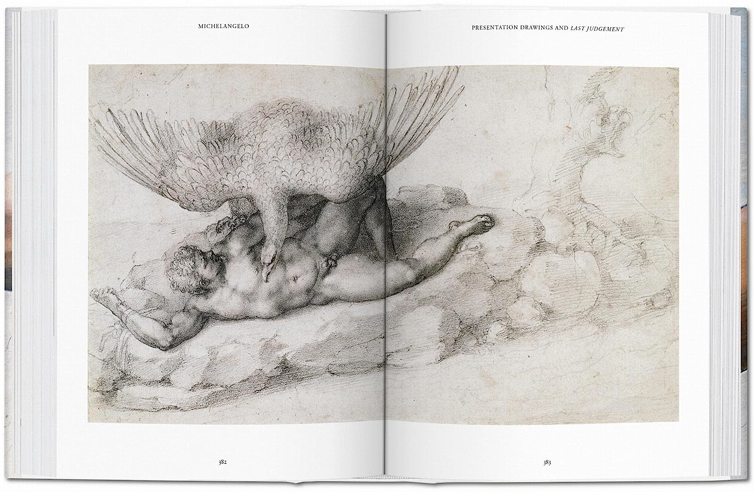 Michelangelo: the Complete Paintings, Sculptures and Architecture, 1475-1654 image number 5