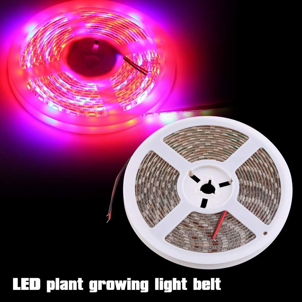 Haofy LED Grow Light Strips Grow for Indoor Plants,12V 16.4Ft Plant Growing Lamps,Adhesive Waterproof Light LED for Succulents Hydroponics Greenhouse Gardening image number 2