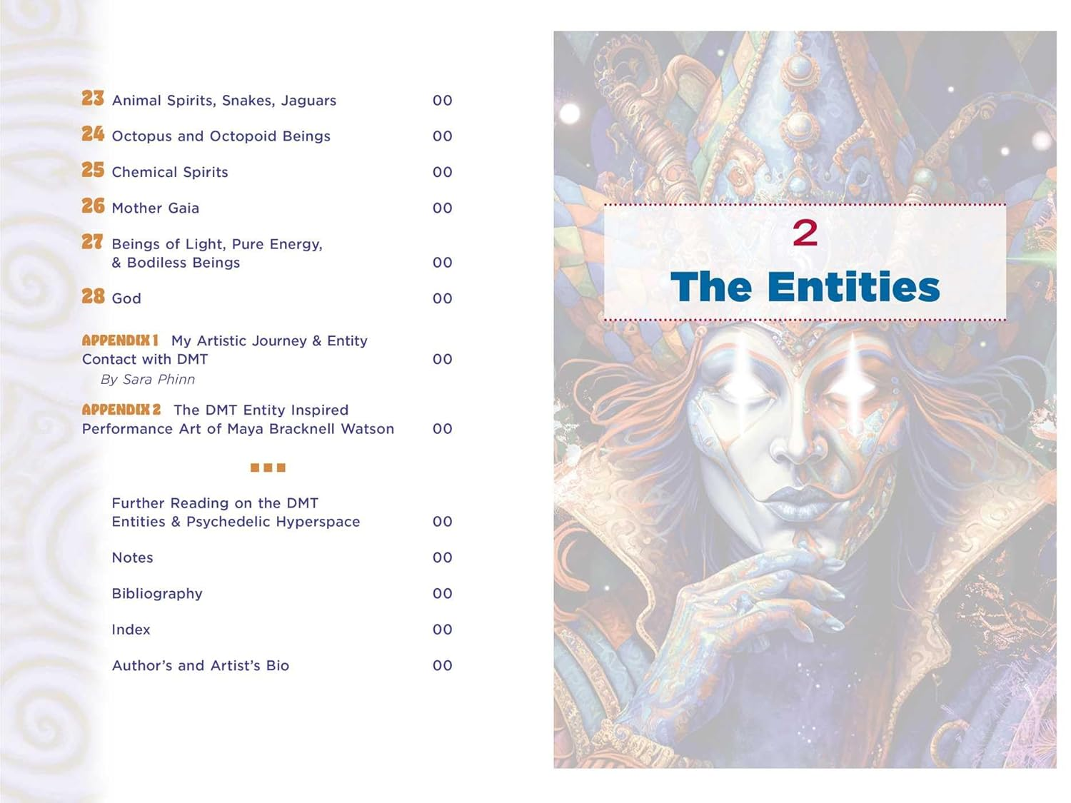 The Illustrated Field Guide to DMT Entities: Machine Elves, Tricksters, Teachers, and Other Interdimensional Beings image number 5