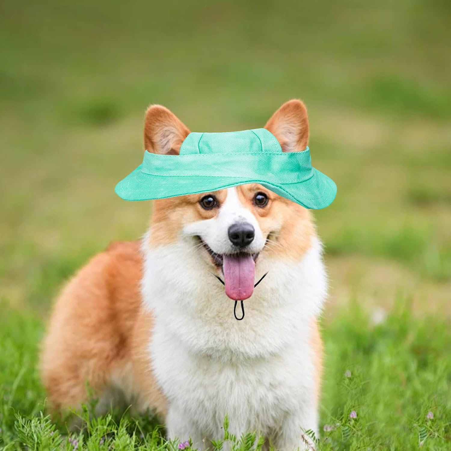 Dog Sun Hat, 1 Piece Adjustable Dog Sun Protection Hat with Ear Holes, round Brim Dog Visor Cap, Pet Fishing Hat for Puppies, Small Dogs, Cats, Outdoor Sports (Green, M) image number 4