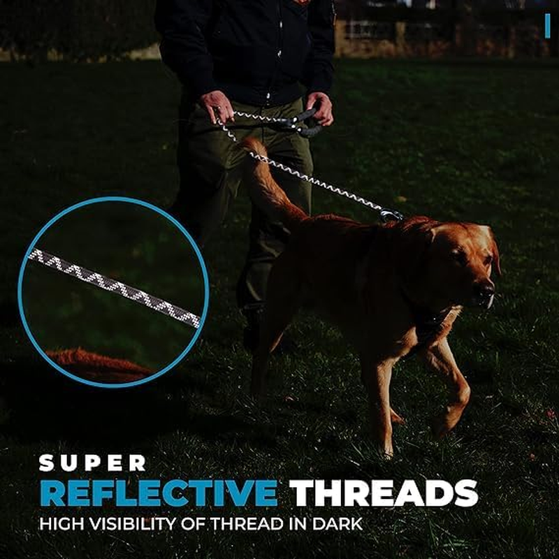 5 Ft Dog Leash ; Durable & Strong Nylon Dog Lead by Saffily - Comfortable Padded Handle and Perfect for Medium & Large Dogs Training-4X Reflective Thread Is Used in Our Dog Leashes image number 3