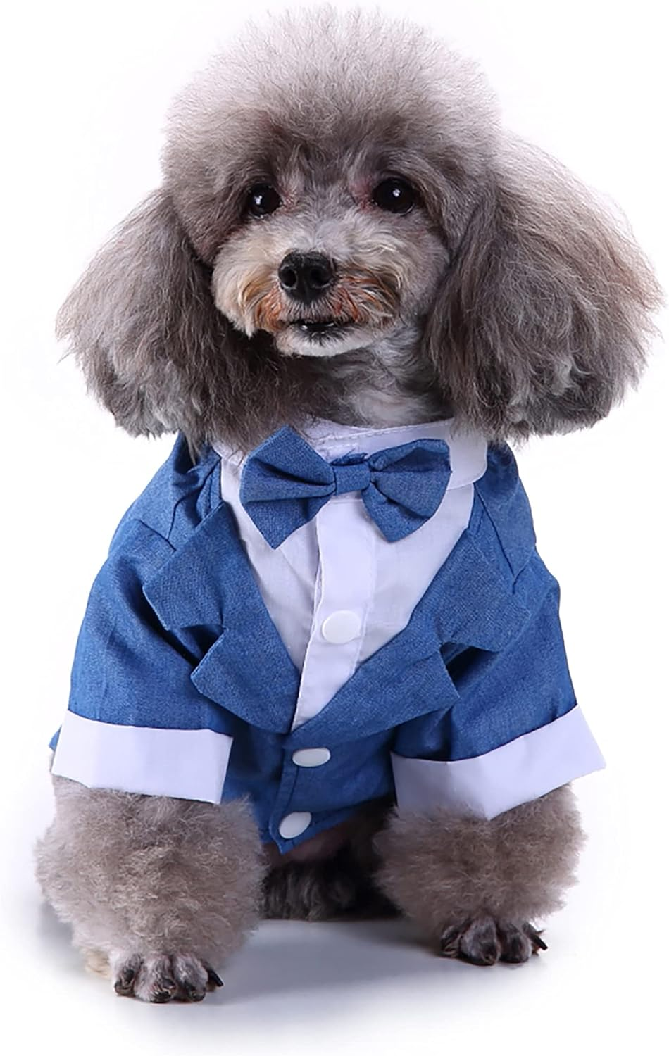 Black, White, Blue Dog Shirts for Wedding, Puppy Tuxedo, Dog Formal Wear, Doggie Tux, Suit and Tie Costume Blue Medium image number 5