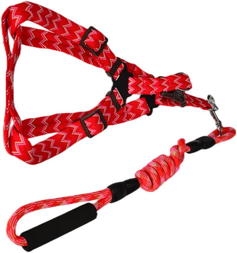 YES4PETS 2 X Medium Pet Dog Cat Puppy Kitten Rabbit Dog Harness Collar Leash Lead 5 Color image number 5