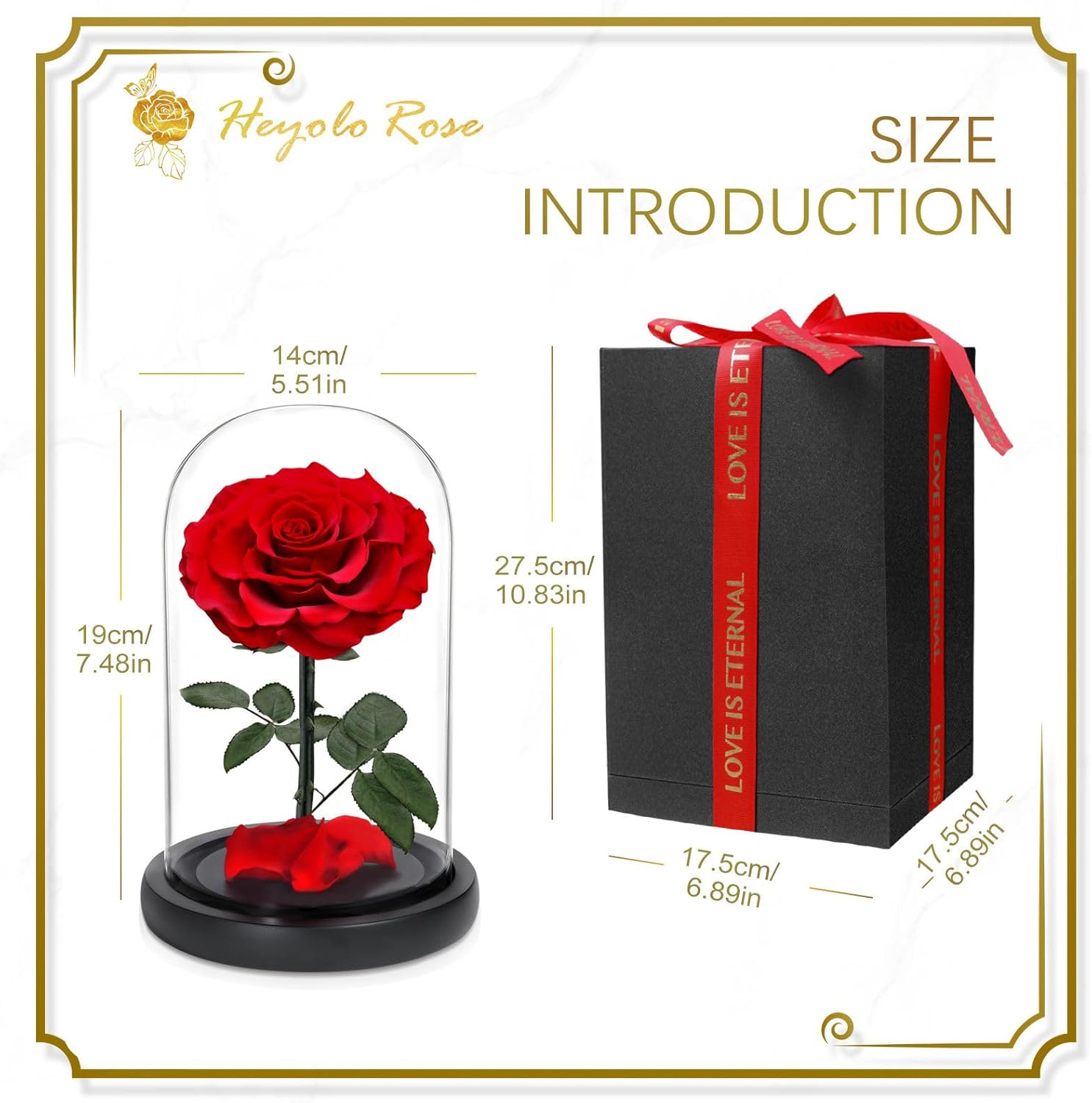 Forever Preserved Rose, Handcrafted Eternal Rose in Glass Dome, Beauty and the Beast Rose, Best Expression of Love for Women, Mother'S Day, Valentines Day, Christmas, Birthday, Anniversary - Red image number 5