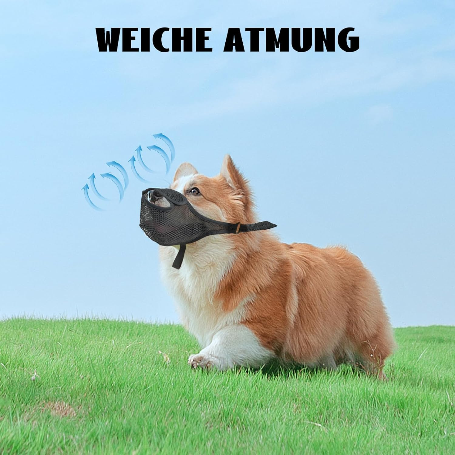 High-Quality, Breathable Dog Muzzle to Prevent Biting and Eating, Anti-Barking Mouth Guard for Small and Medium Dogs, Adjustable and Comfortable image number 3