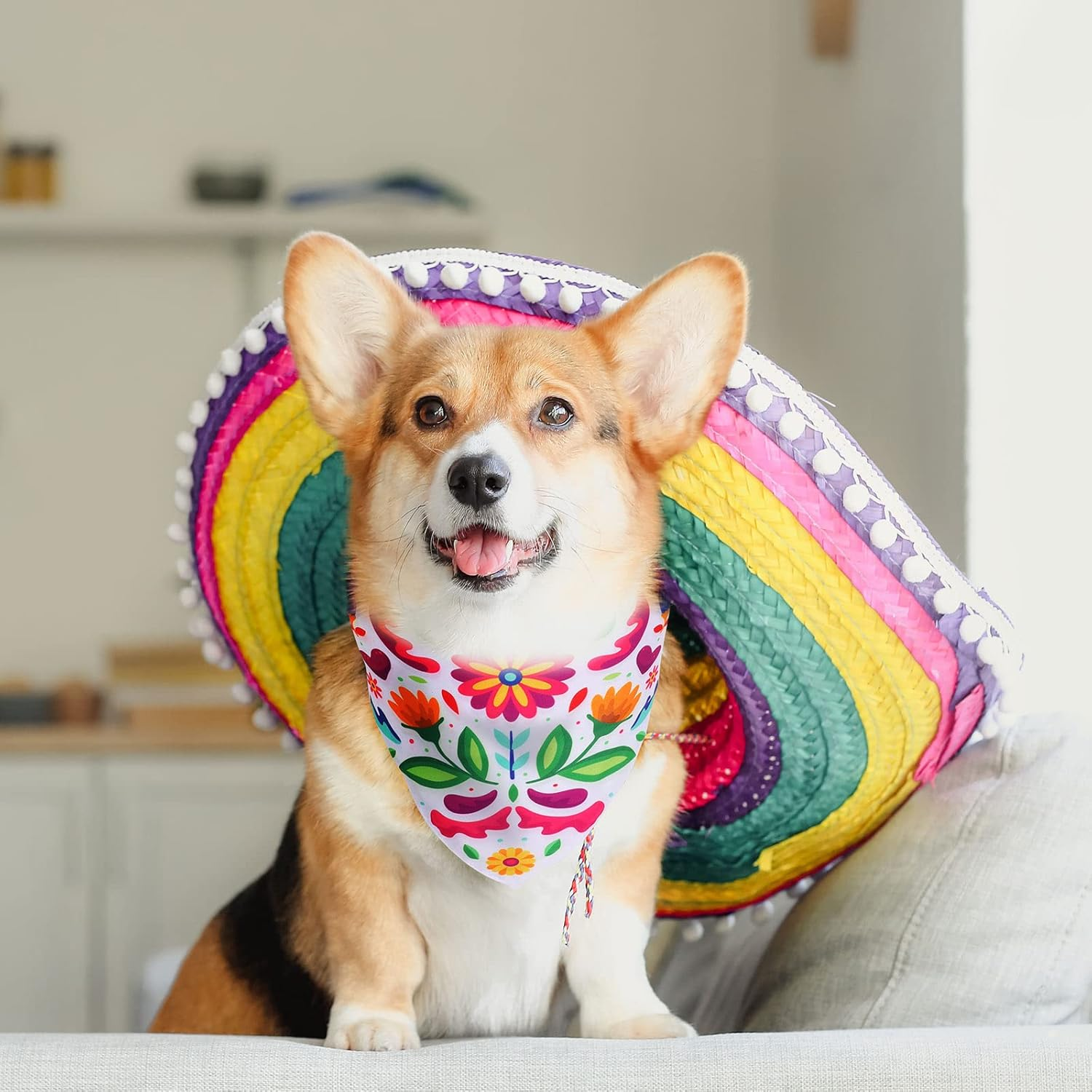 Whaline Mexican Dog Bandana Floral Dog Bandana Cinco De Mayo Fiesta Pet Scarf Double-Sided Adjustable White Black Flower Pet Neckerchief for Small Medium Large Cat Dog Carnival Accessories, 2 Pack image number 4
